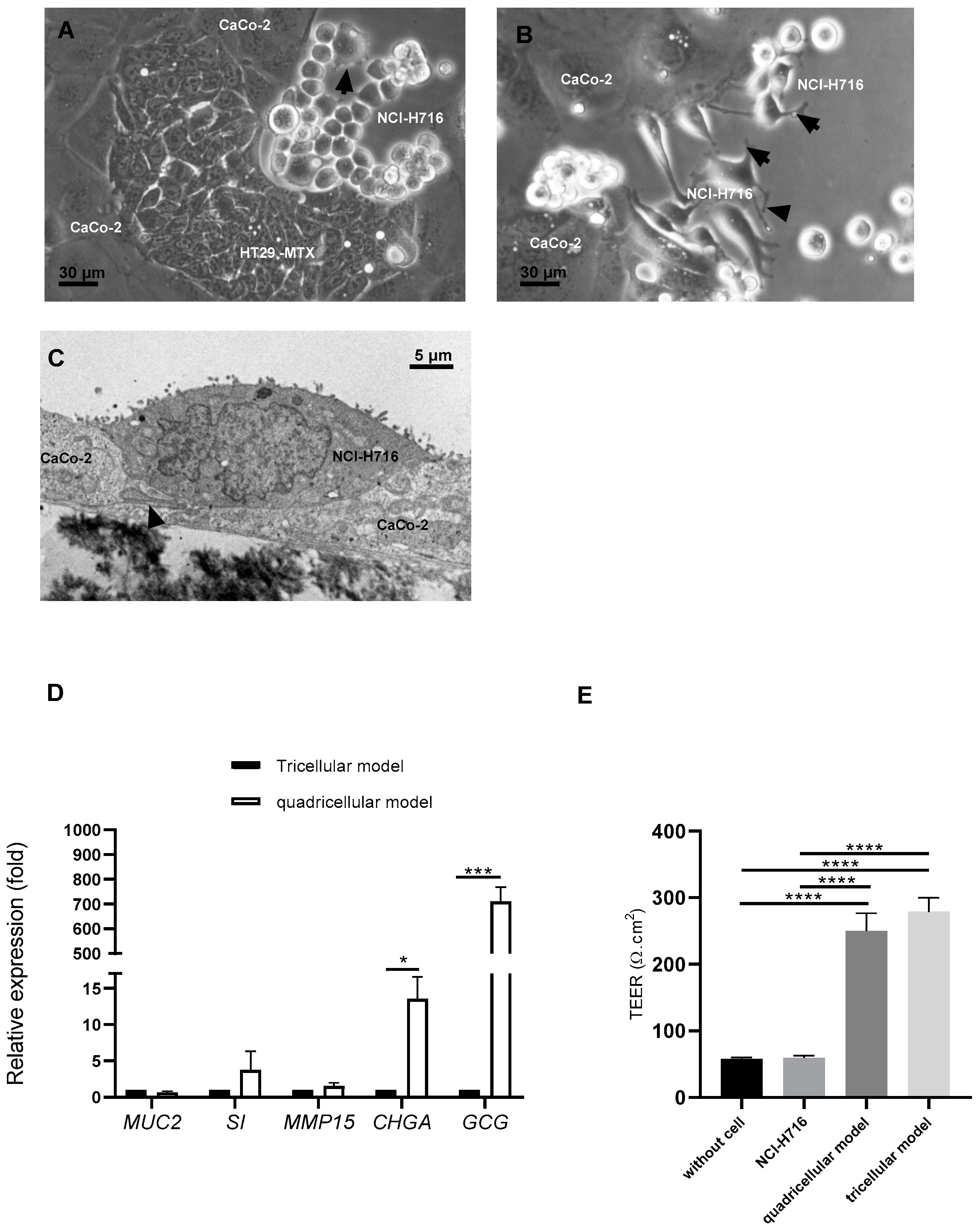 Microorganisms 10 02263 g002 Microorganisms 10 02263 g002