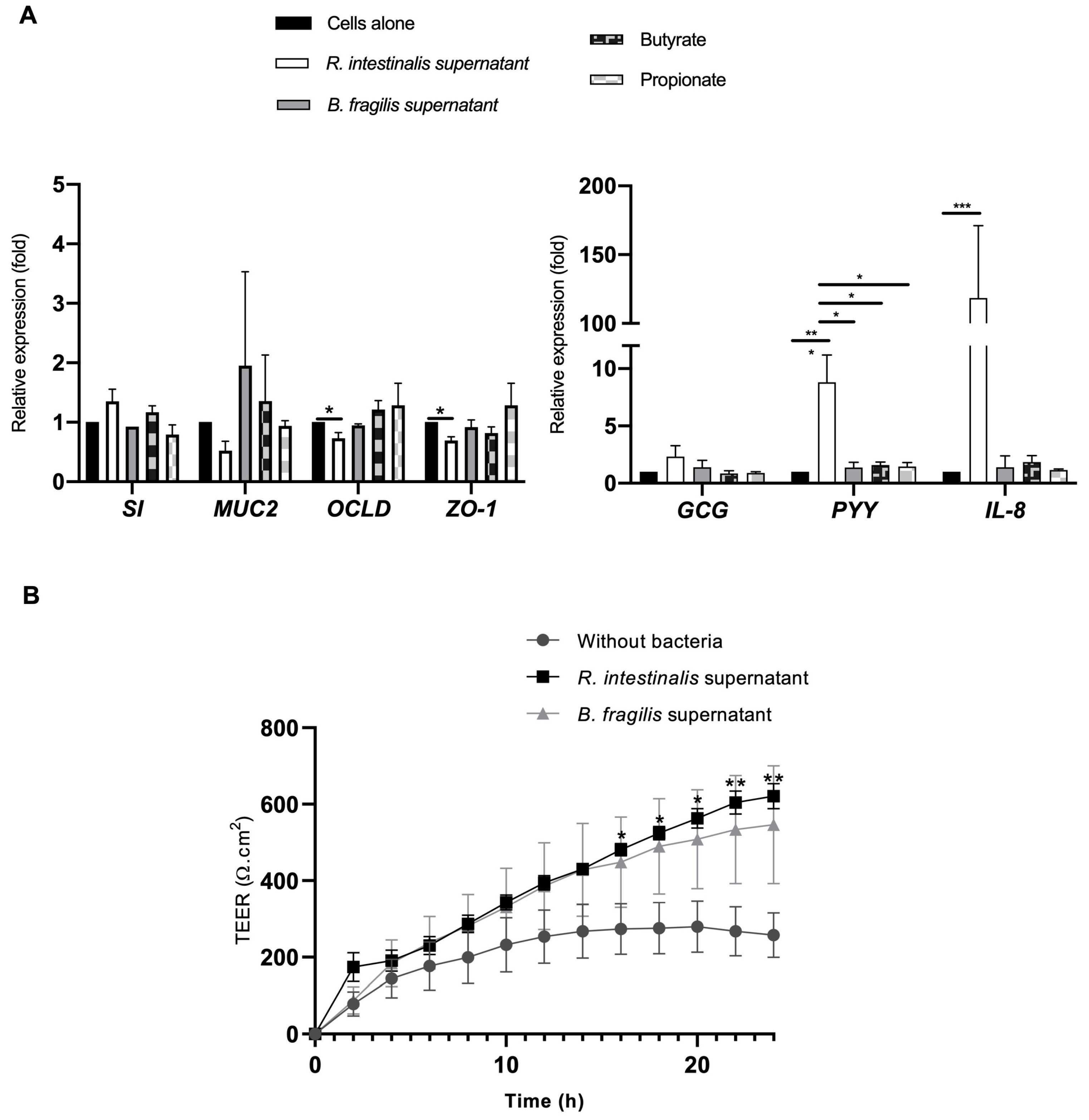 Microorganisms 10 02263 g005 Microorganisms 10 02263 g005