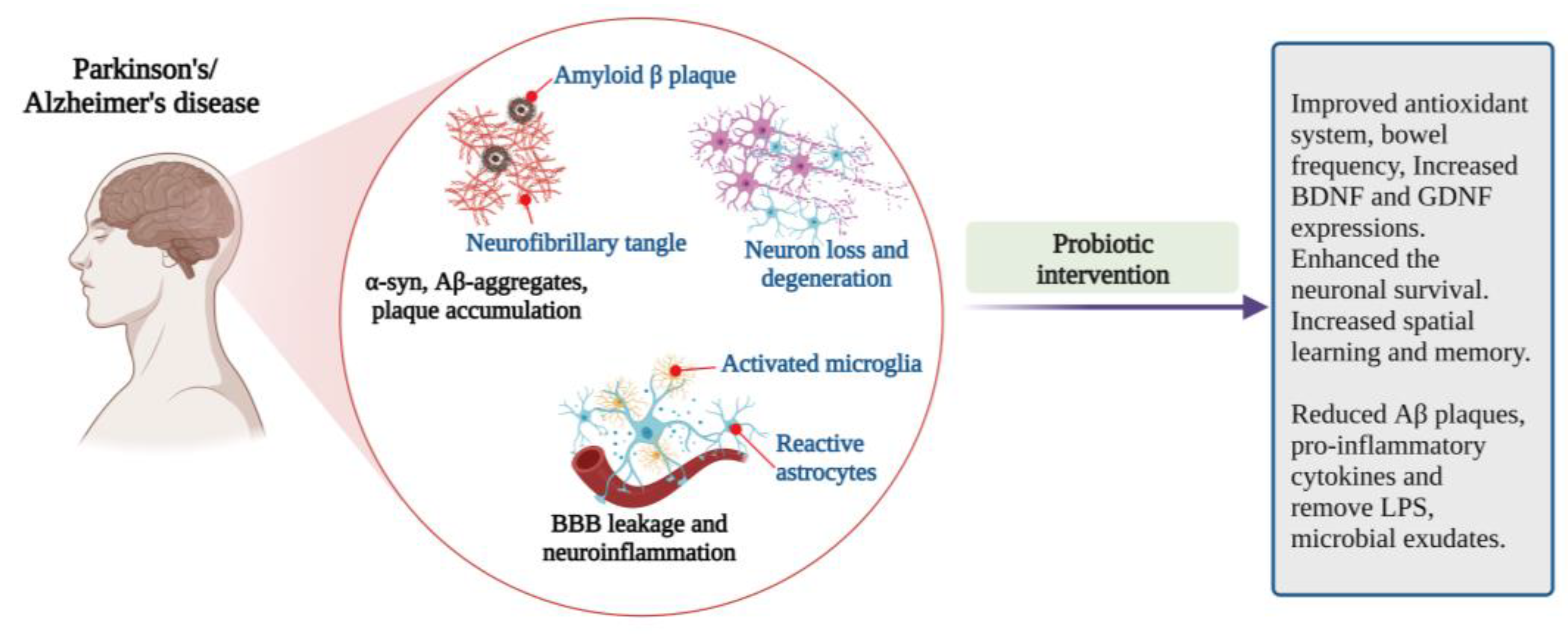 Microorganisms 10 02268 g004 Microorganisms 10 02268 g004