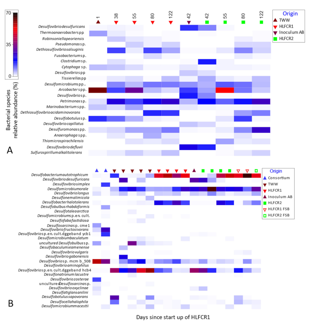 Microorganisms 10 02305 g008