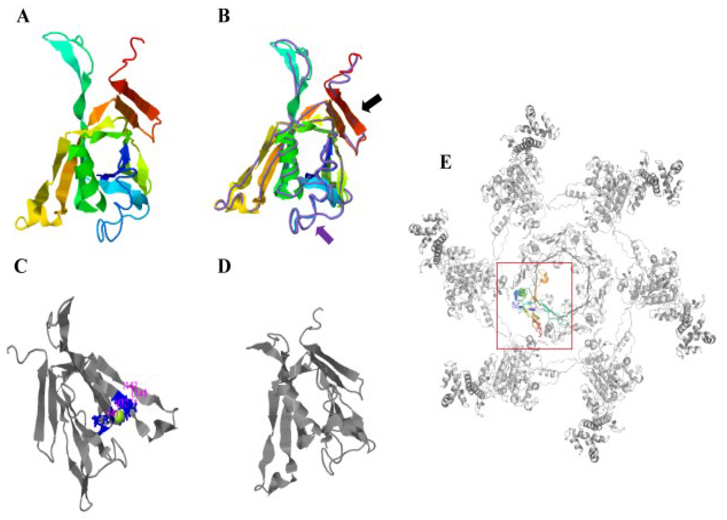 Microorganisms 10 02307 g002