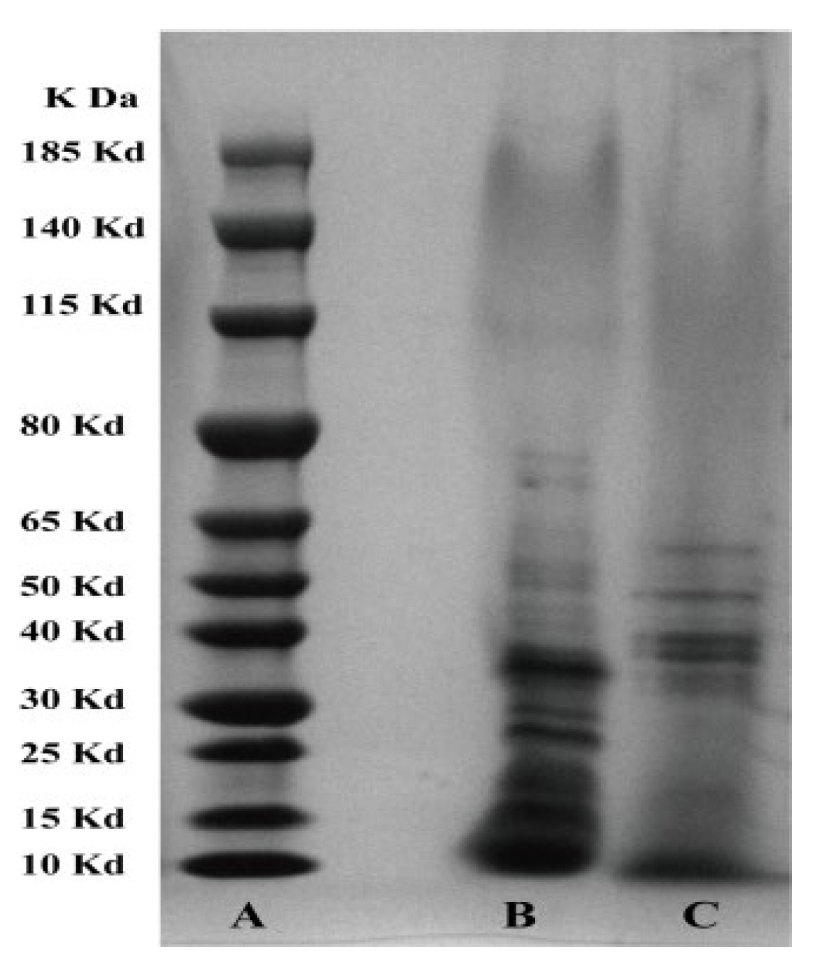 Microorganisms 10 02307 g006