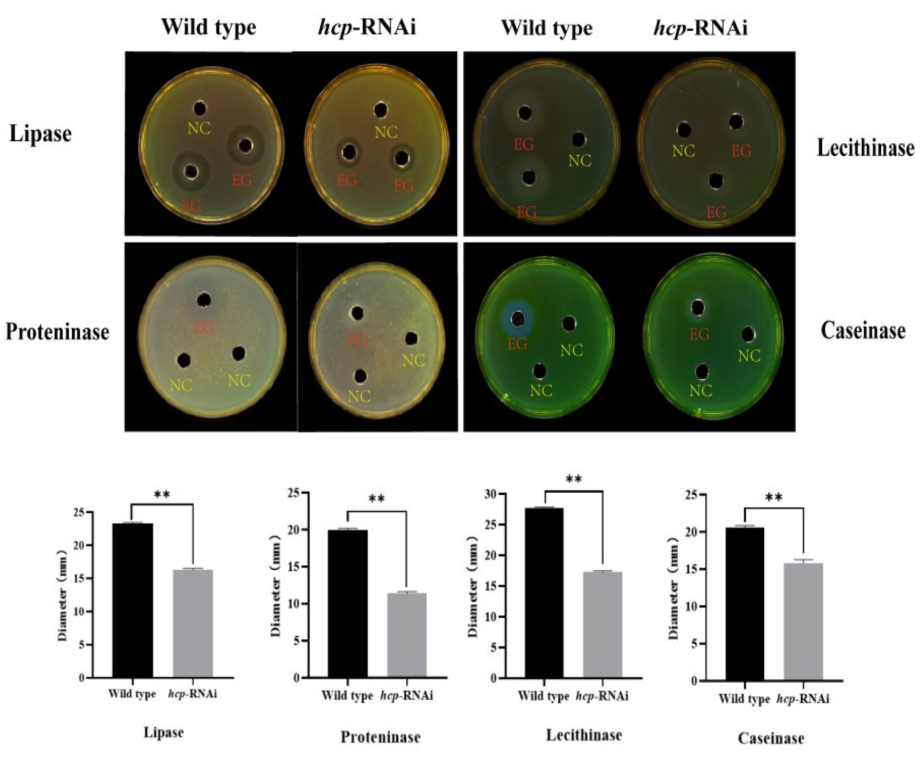 Microorganisms 10 02307 g007