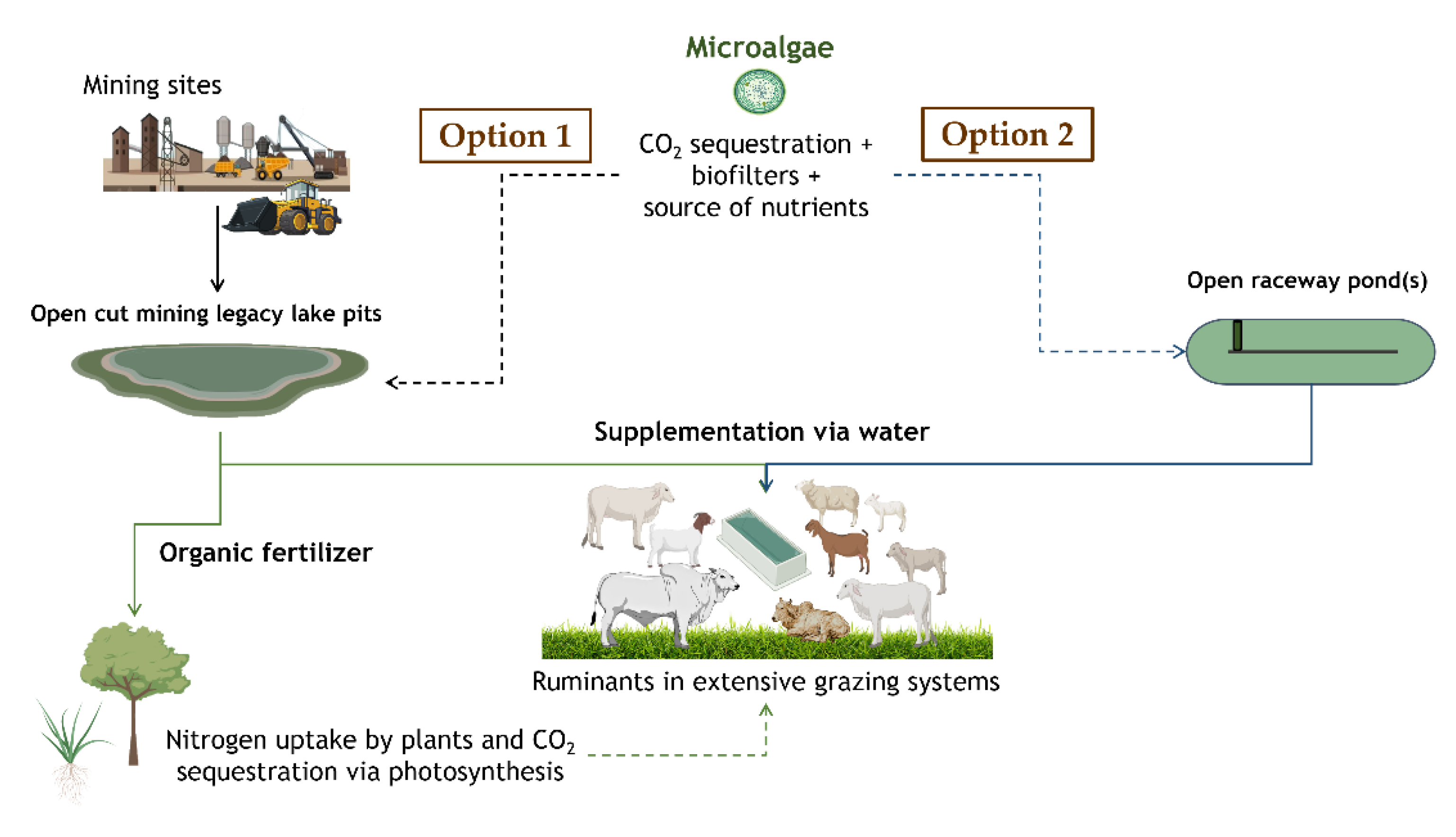 Microorganisms | Free Full-Text | Algae as Feedstuff for Ruminants: A Focus  on Single-Cell Species, Opportunistic Use of Algal By-Products and On-Site  Production