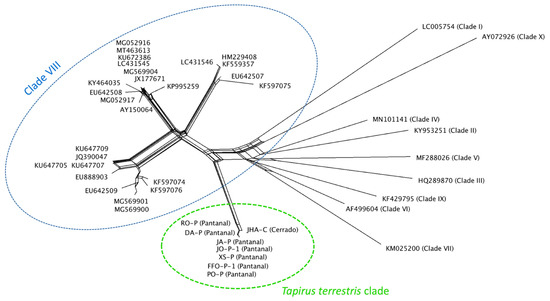 Phylogenetic tree constructed using EMA1 amino acid sequences generated