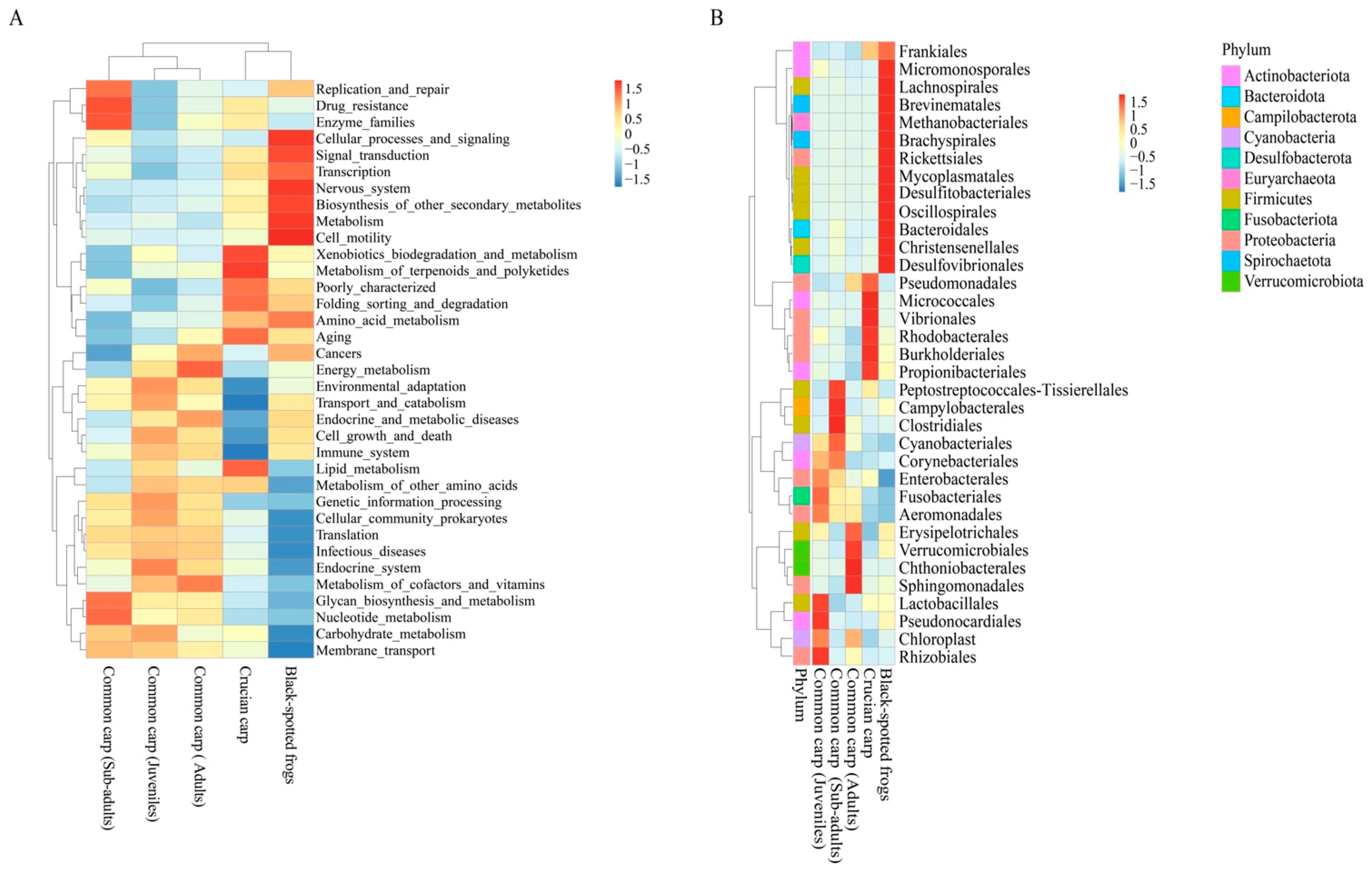 Microorganisms 10 02373 g005