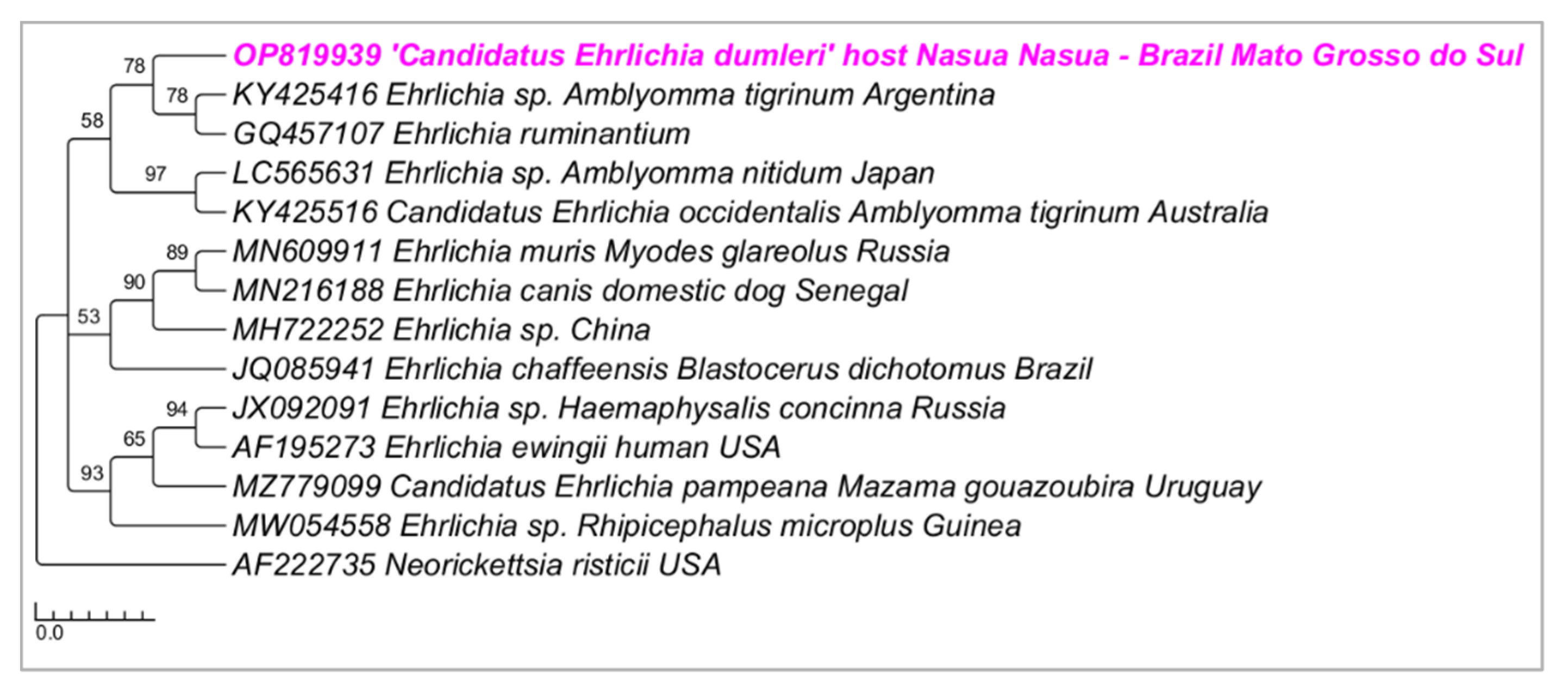 Microorganisms 10 02379 g003 Microorganisms 10 02379 g003