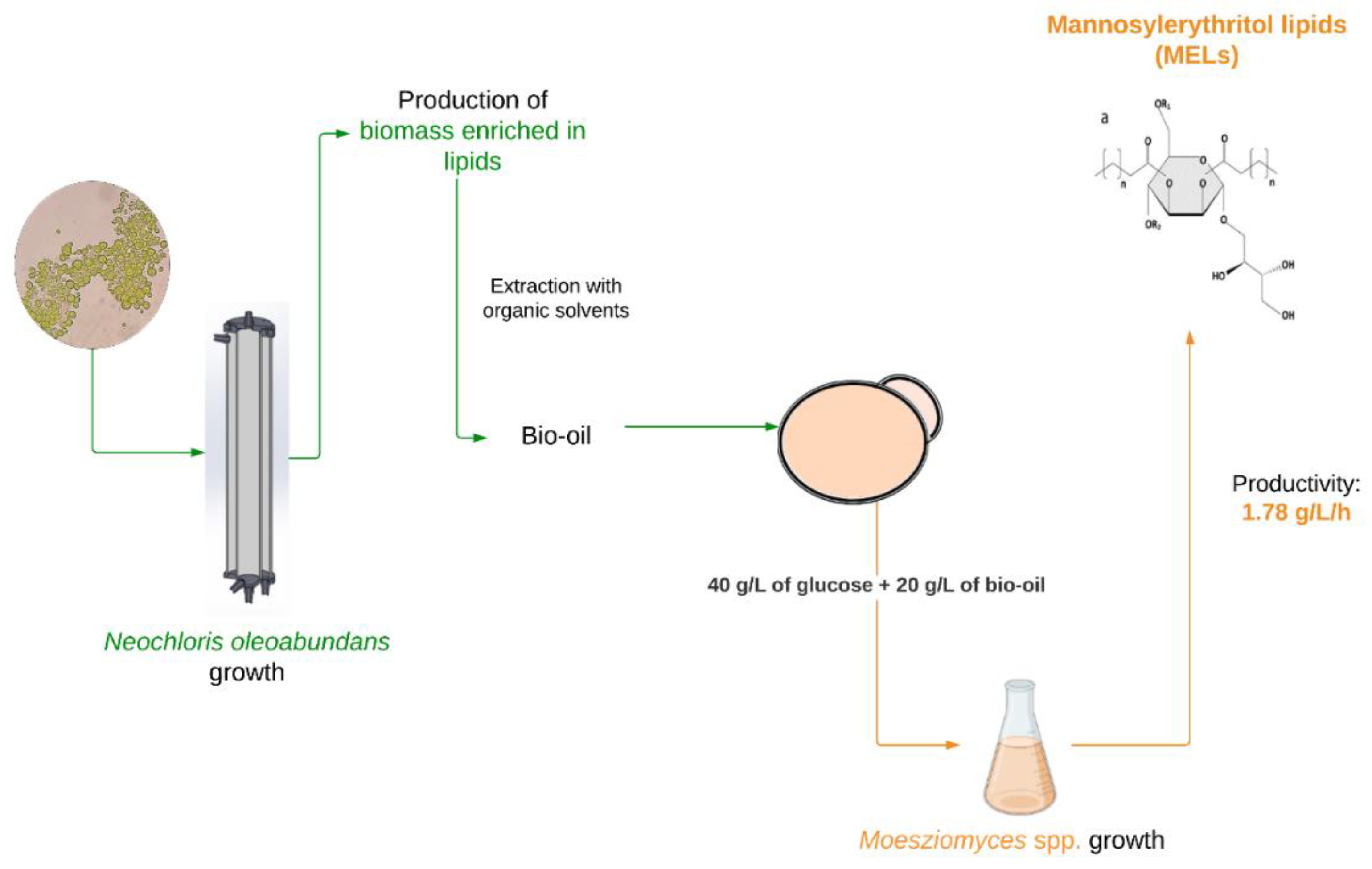 Microorganisms | Free Full-Text | Production of Mannosylerythritol