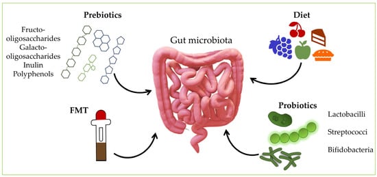 Microorganisms Free Full Text Homeostasis And Dysbiosis Of The