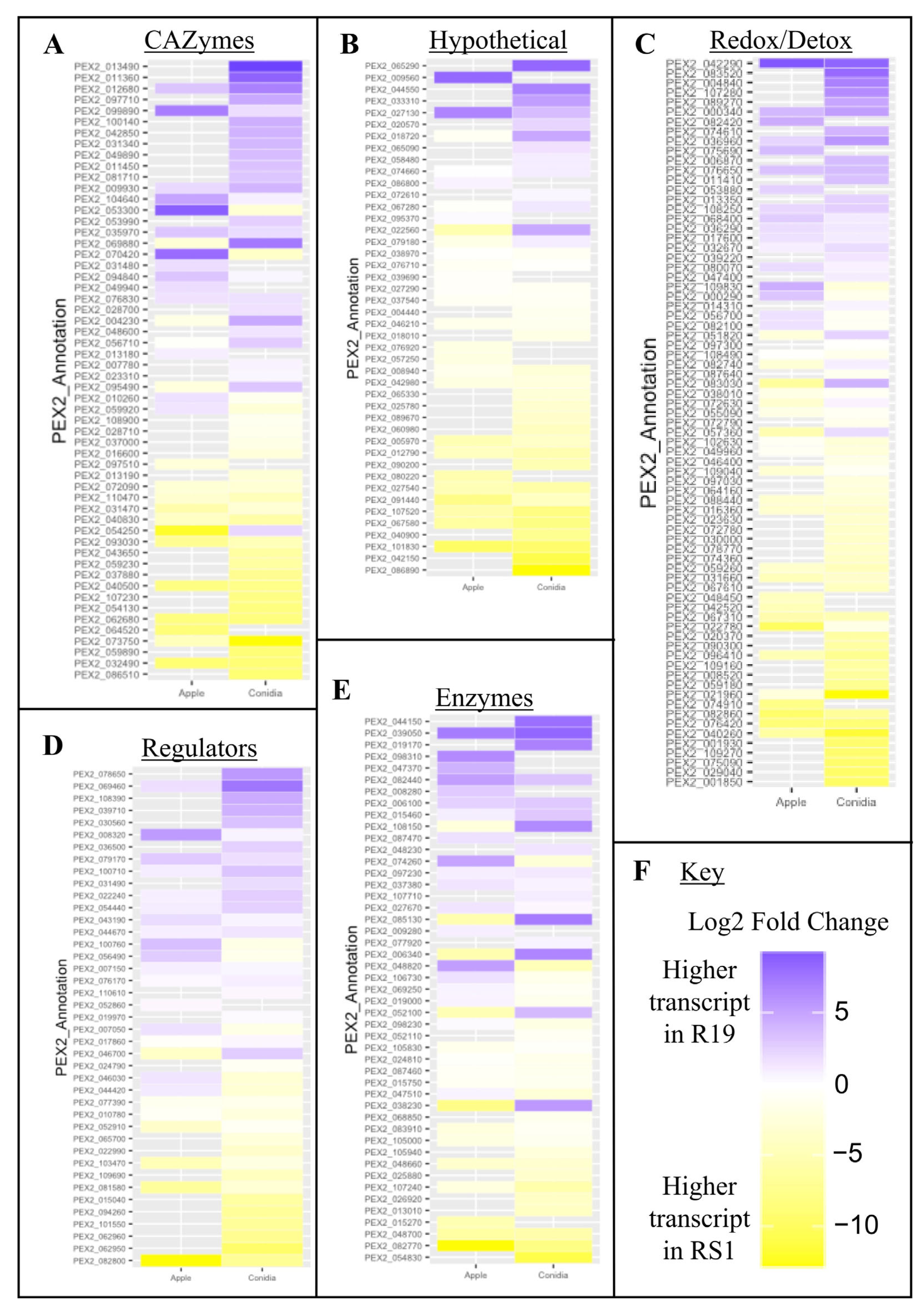 Microorganisms 10 02414 g007 Microorganisms 10 02414 g007