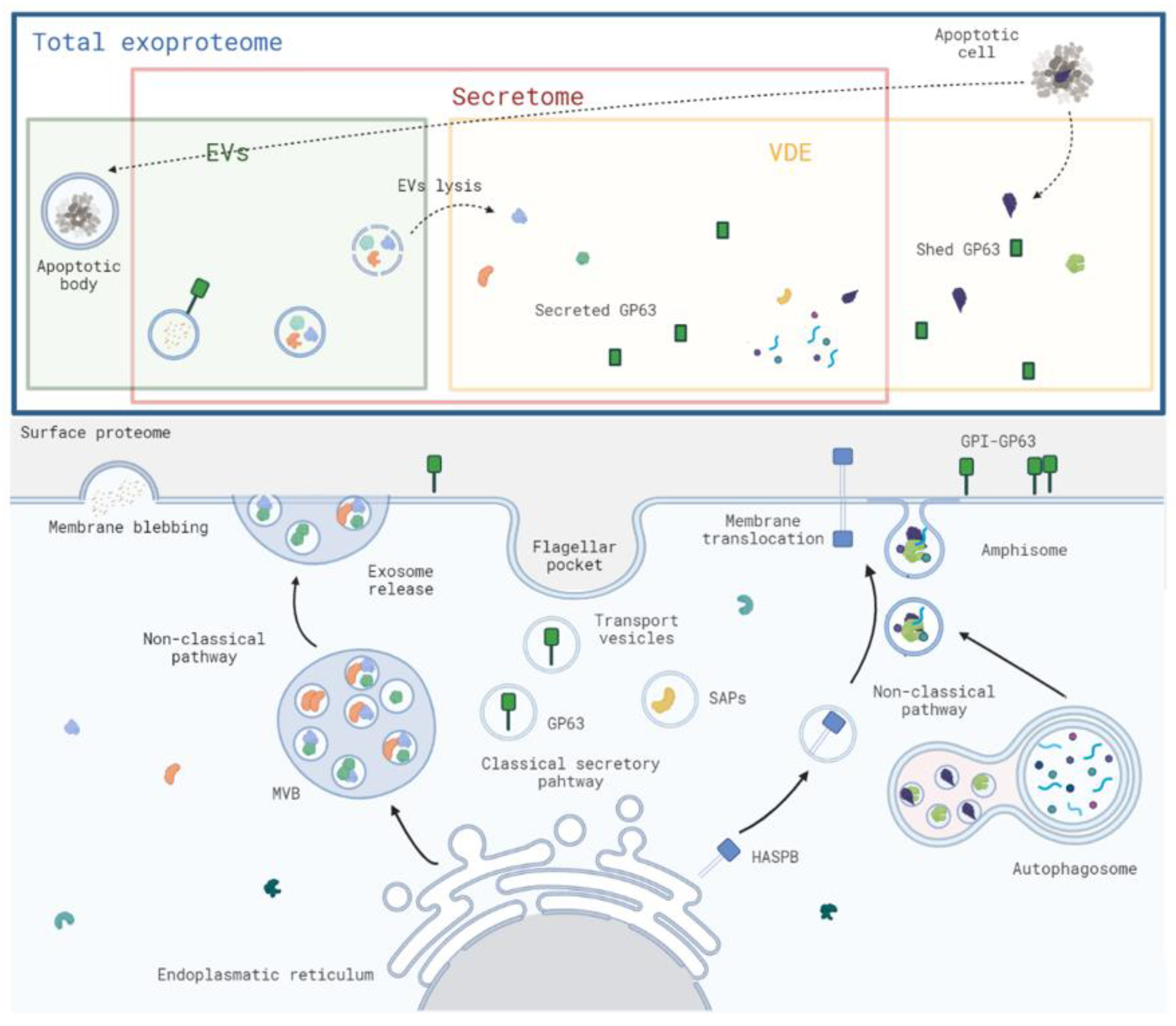 Microorganisms 10 02435 g001 Microorganisms 10 02435 g001