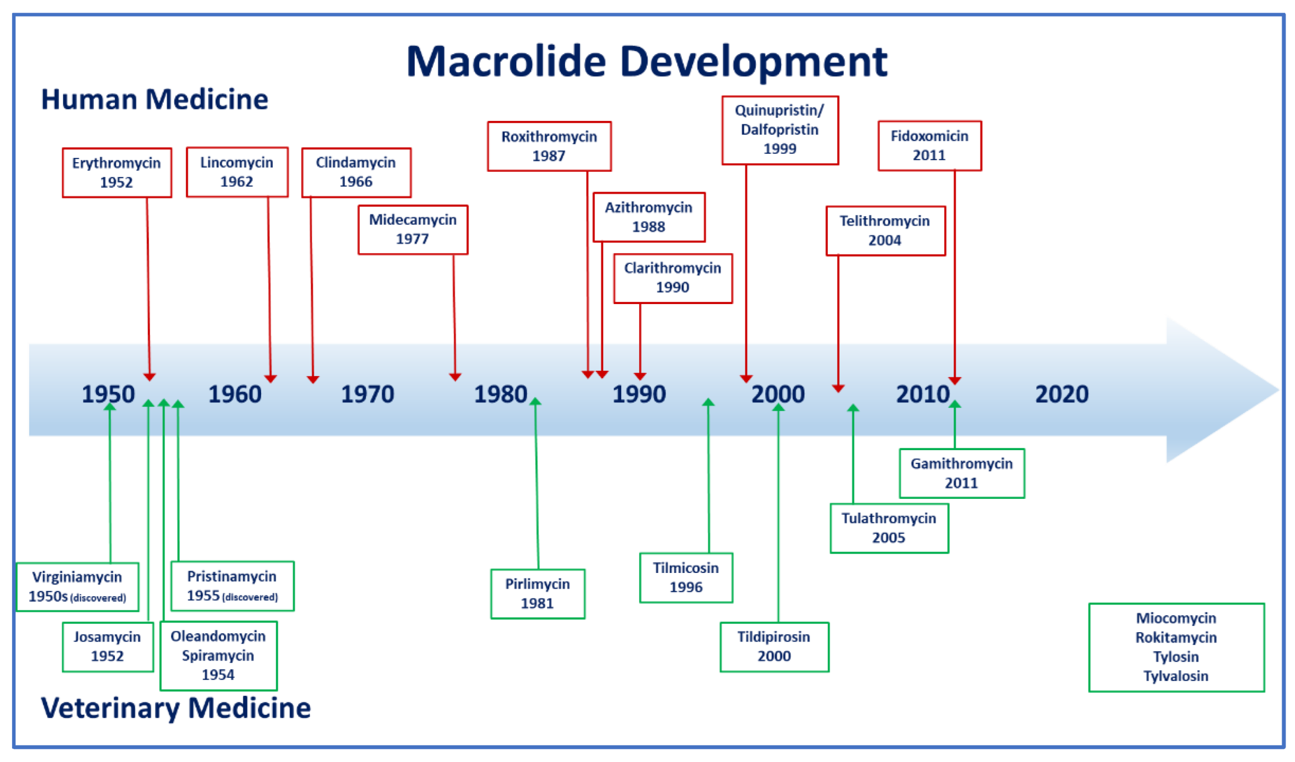 Microorganisms 10 02438 g002 Microorganisms 10 02438 g002