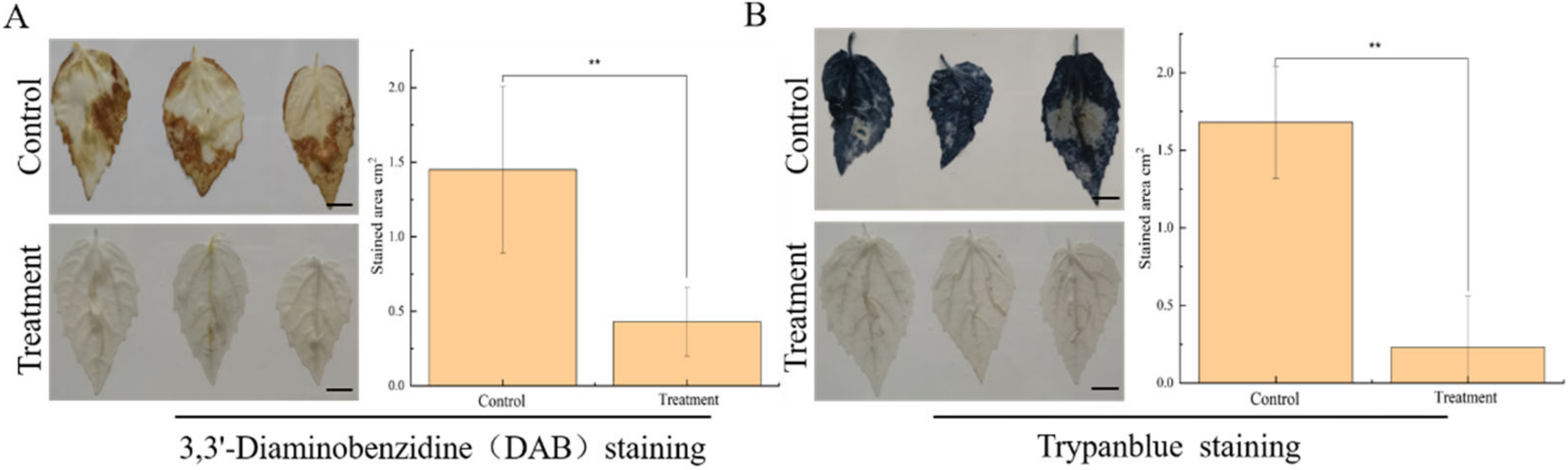 Microorganisms 10 02472 g003 Microorganisms 10 02472 g003