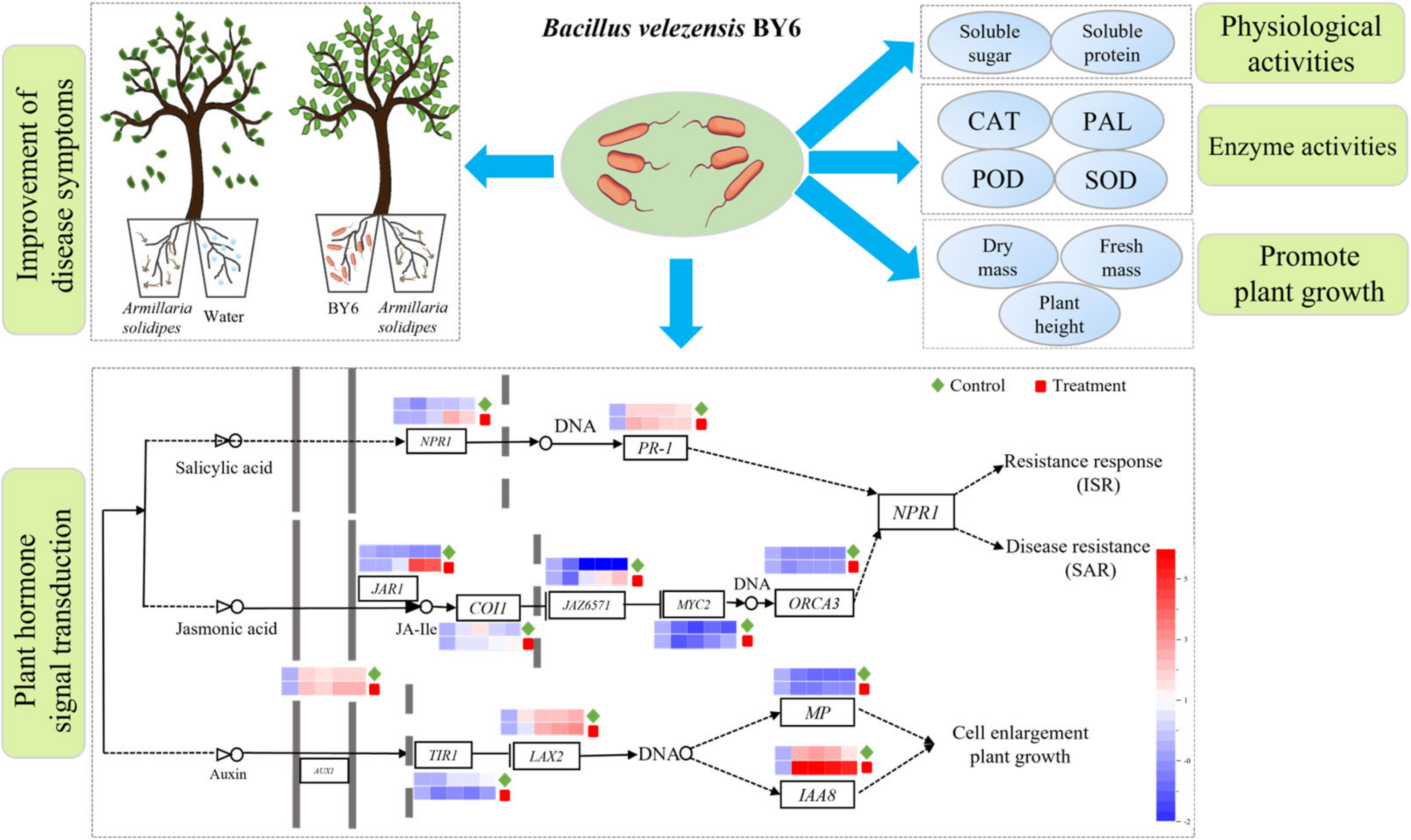 Microorganisms 10 02472 g006 Microorganisms 10 02472 g006