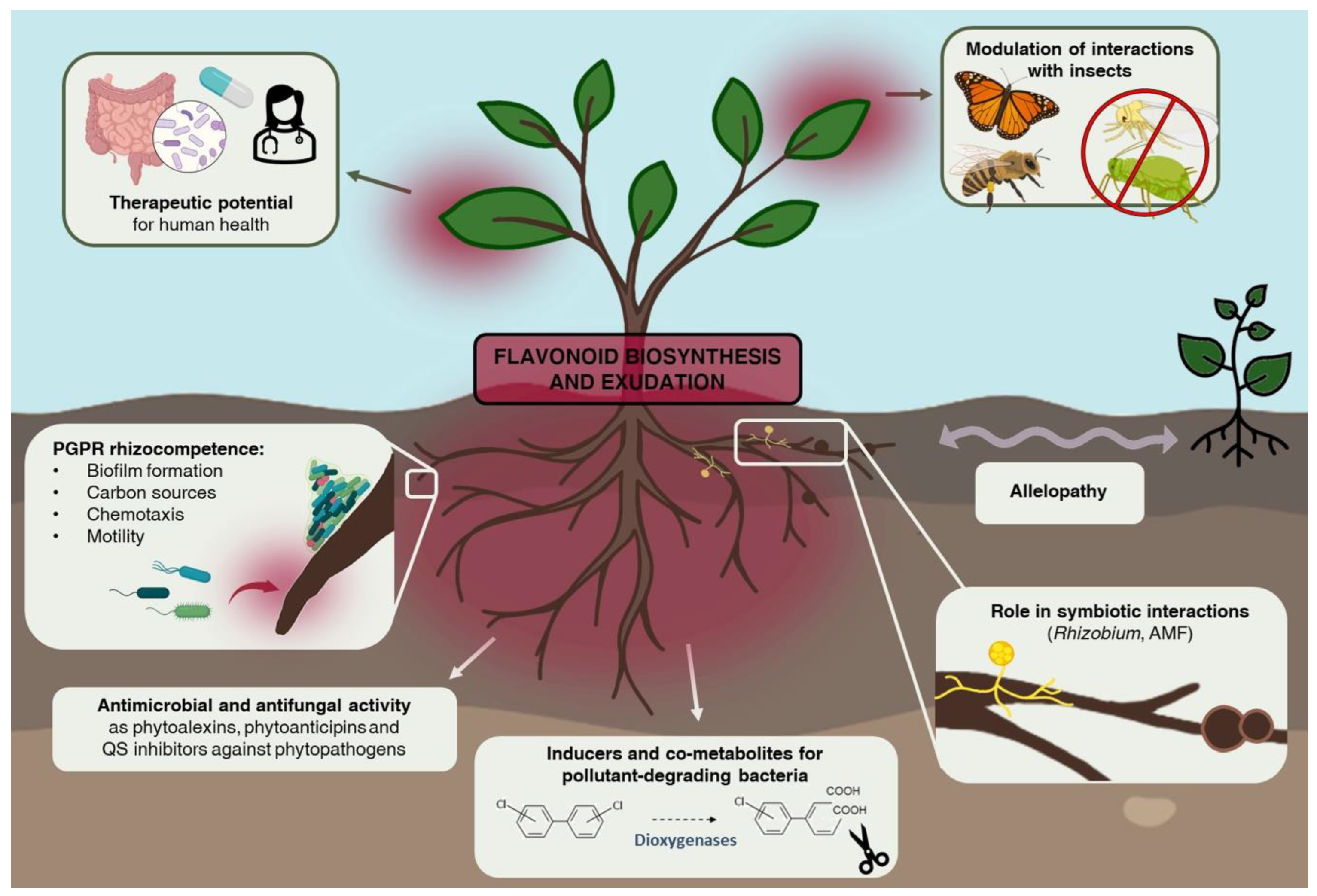 Microorganisms 10 02479 g002 Microorganisms 10 02479 g002