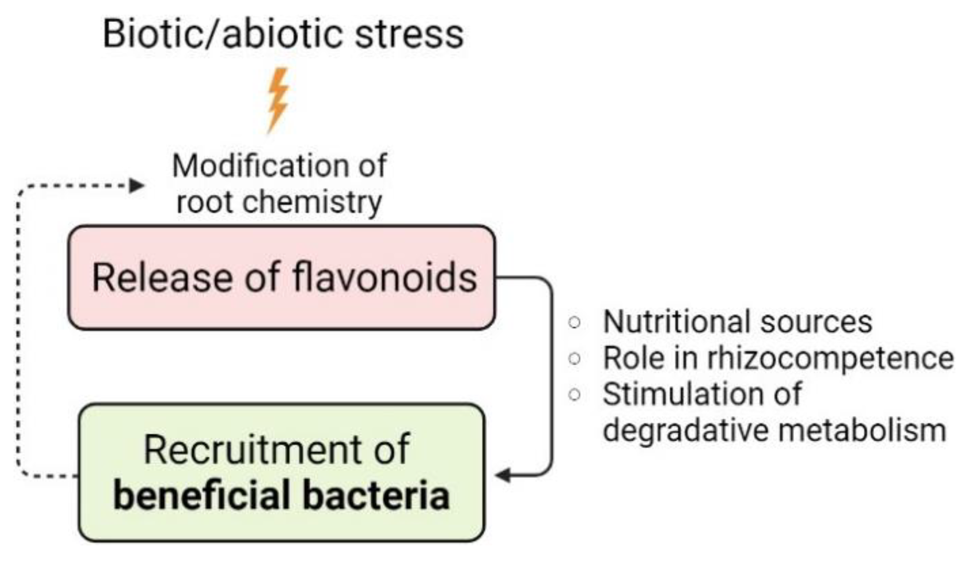 Microorganisms 10 02479 g004 Microorganisms 10 02479 g004