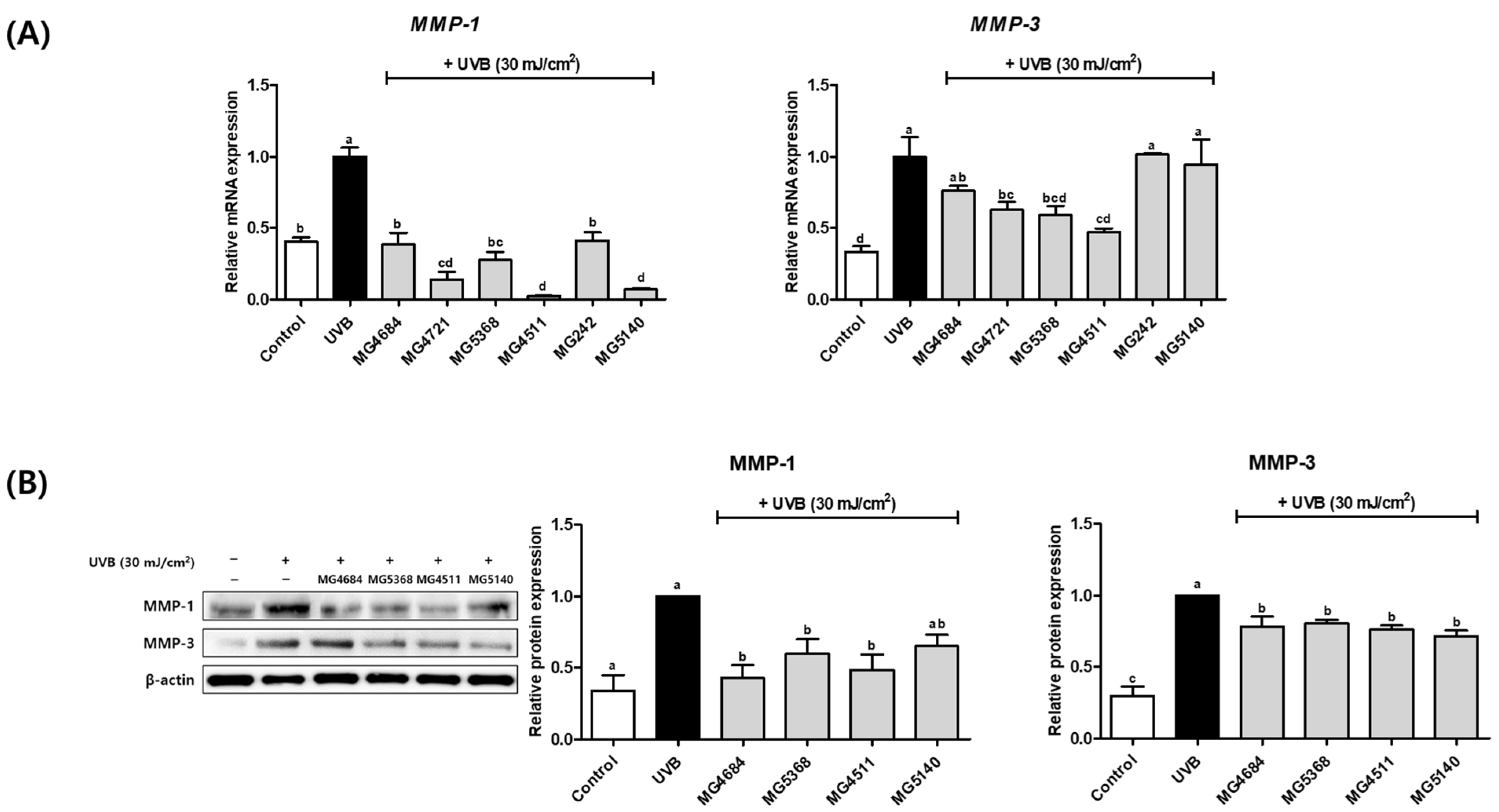 Microorganisms 10 02481 g003 Microorganisms 10 02481 g003