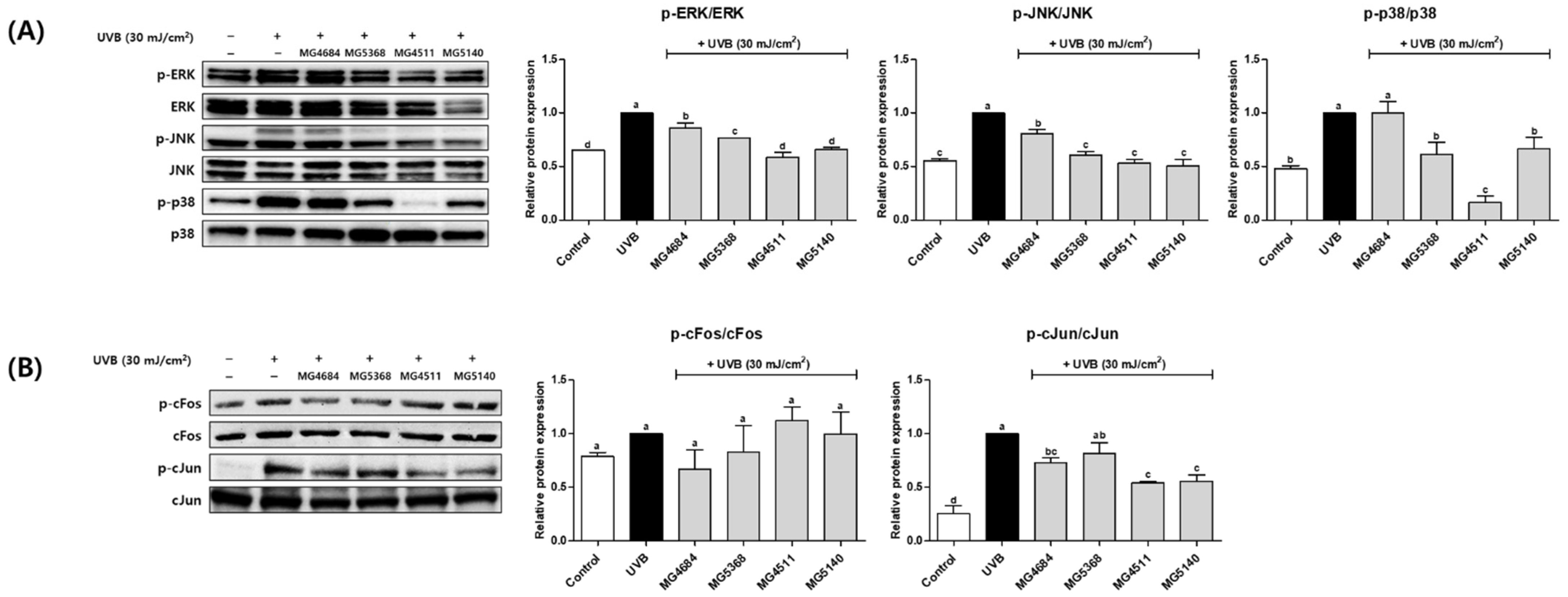 Microorganisms 10 02481 g004 Microorganisms 10 02481 g004