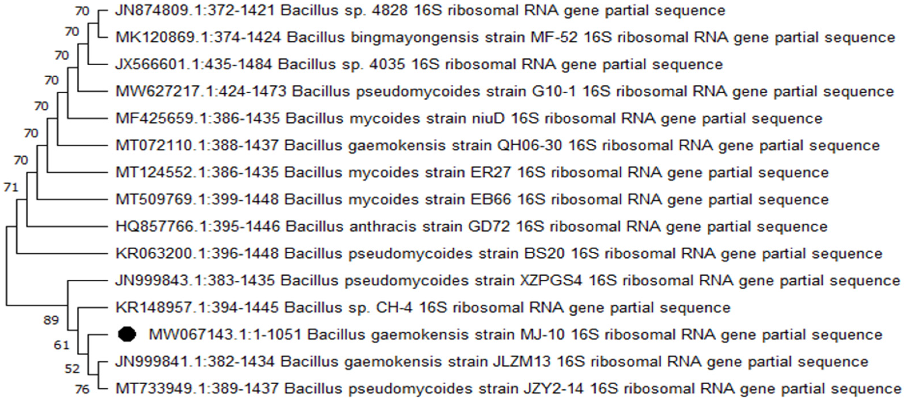 Microorganisms 10 02485 g001 Microorganisms 10 02485 g001