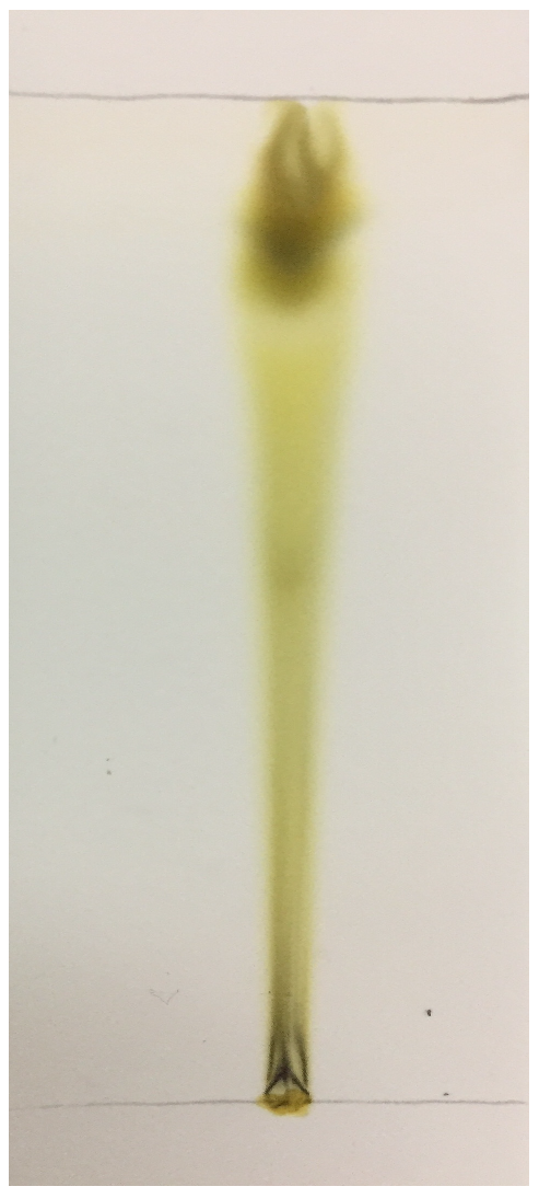 Microorganisms 10 02485 g002 Microorganisms 10 02485 g002