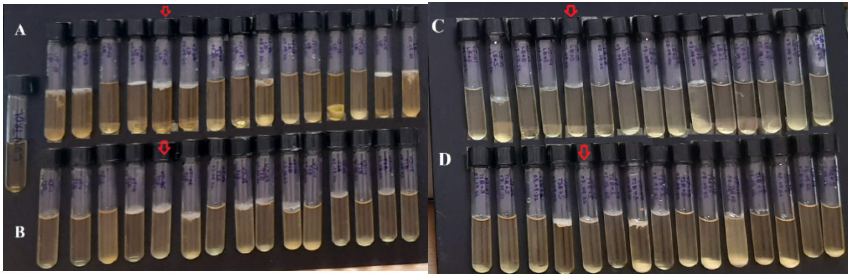 Microorganisms 10 02485 g007 Microorganisms 10 02485 g007