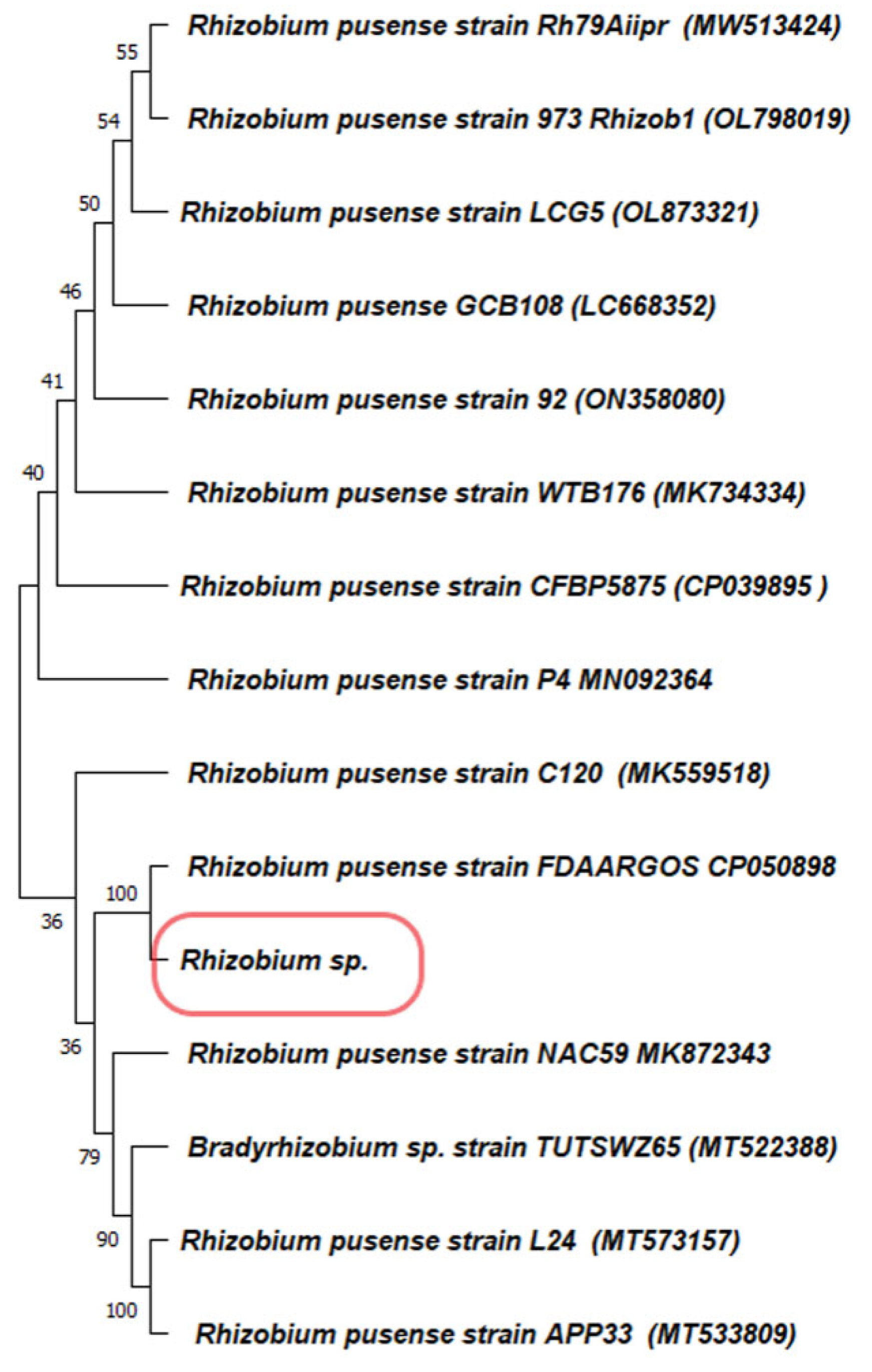 Microorganisms 10 02502 g001 Microorganisms 10 02502 g001