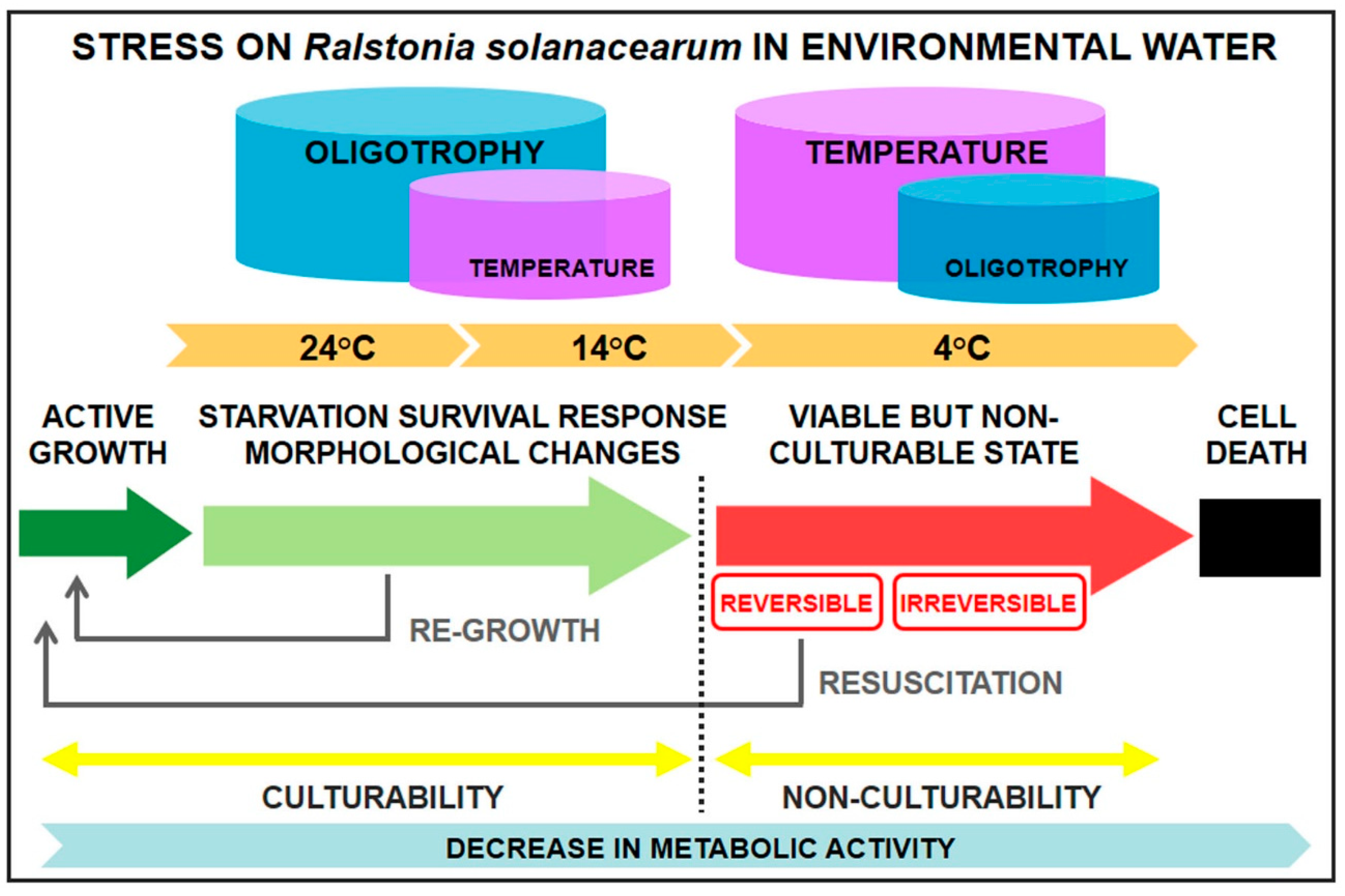Microorganisms 10 02503 g006