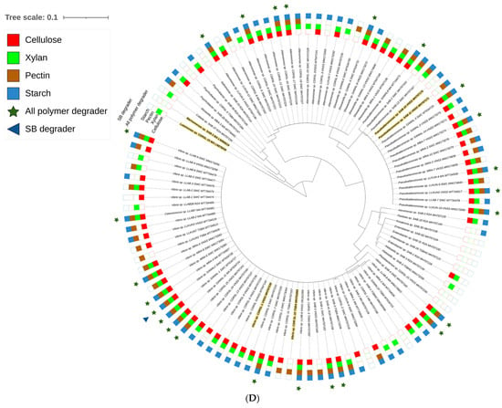 Microorganisms Free Full Text Exploring Diversity And Polymer Degrading Potential Of 5479