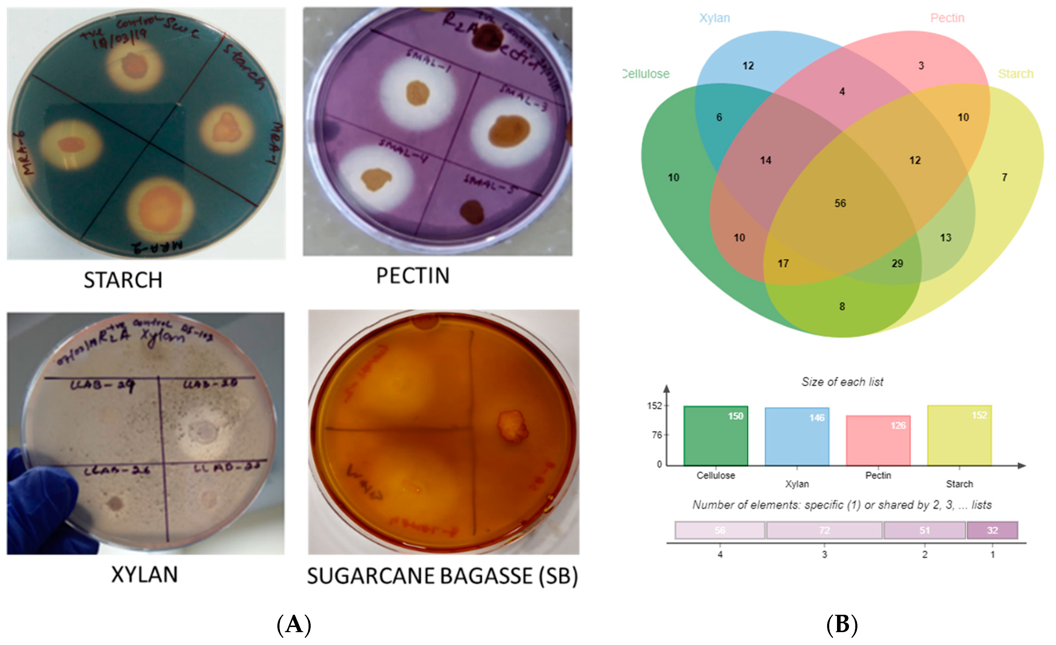 Microorganisms 10 02513 g005 Microorganisms 10 02513 g005