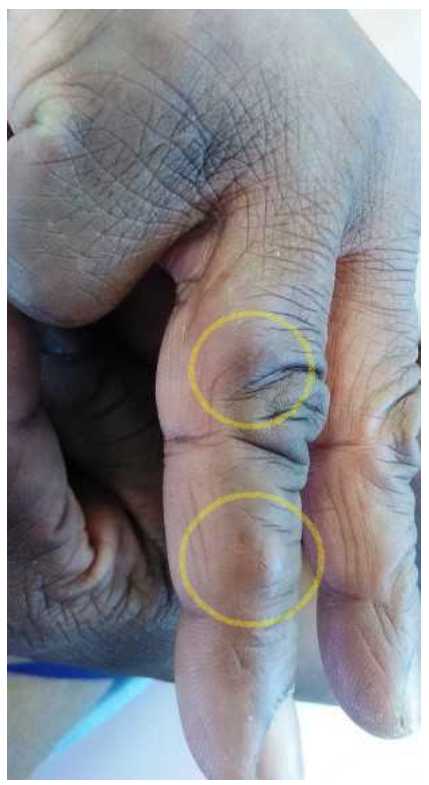 Microorganisms 11 00003 g003 Microorganisms 11 00003 g003