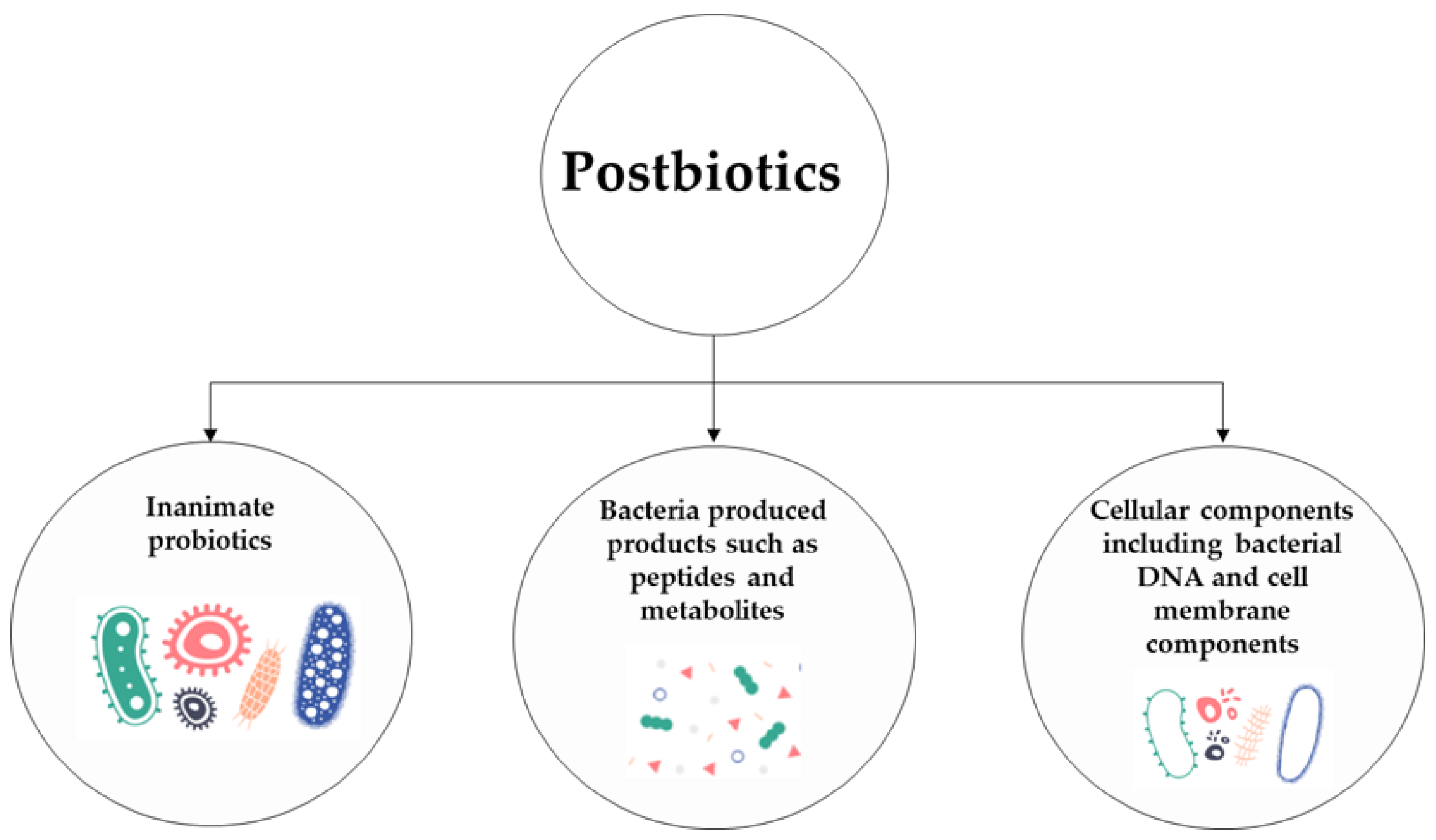 Microorganisms 11 00010 g001 Microorganisms 11 00010 g001