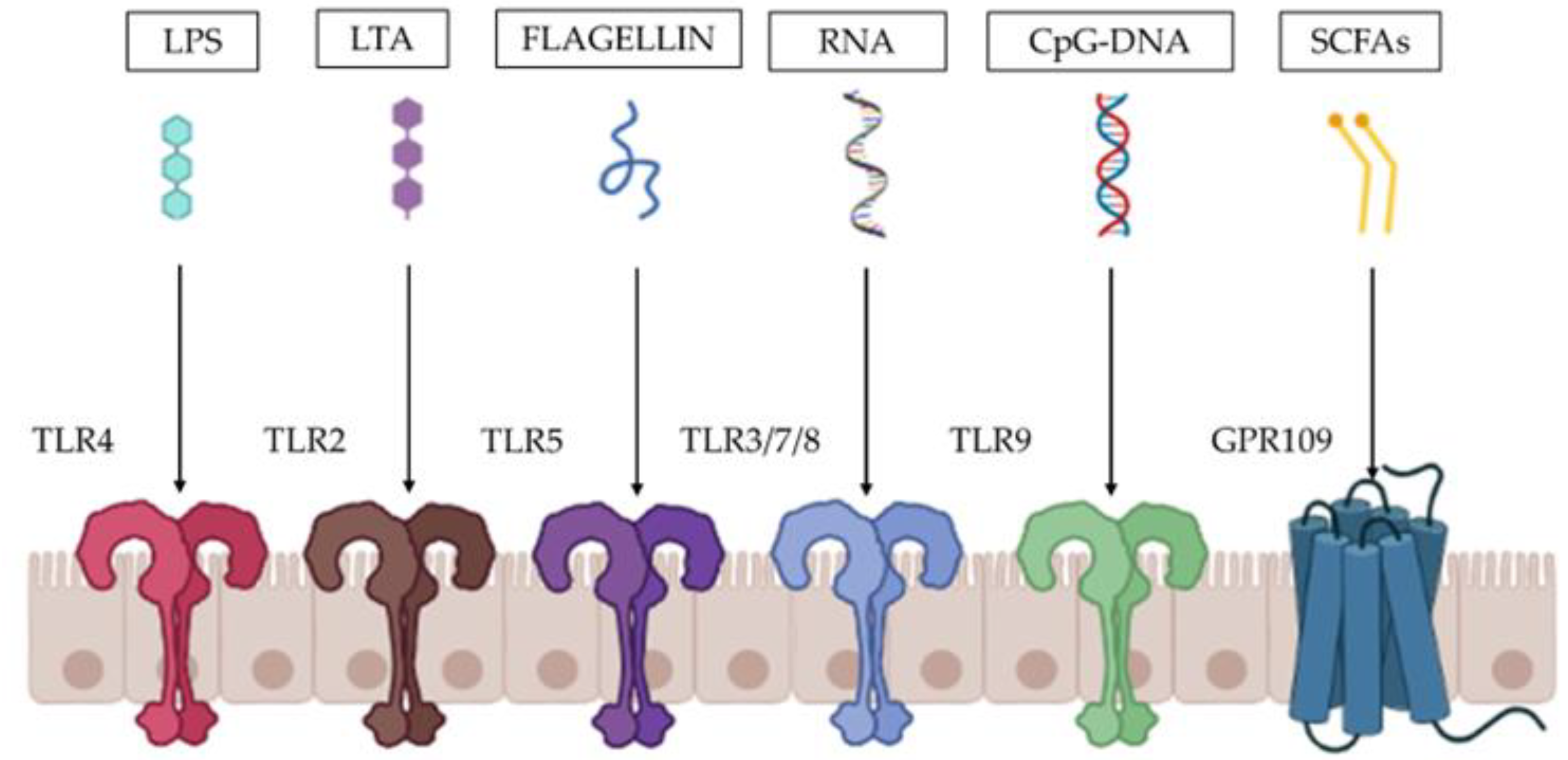 Microorganisms 11 00010 g002 Microorganisms 11 00010 g002