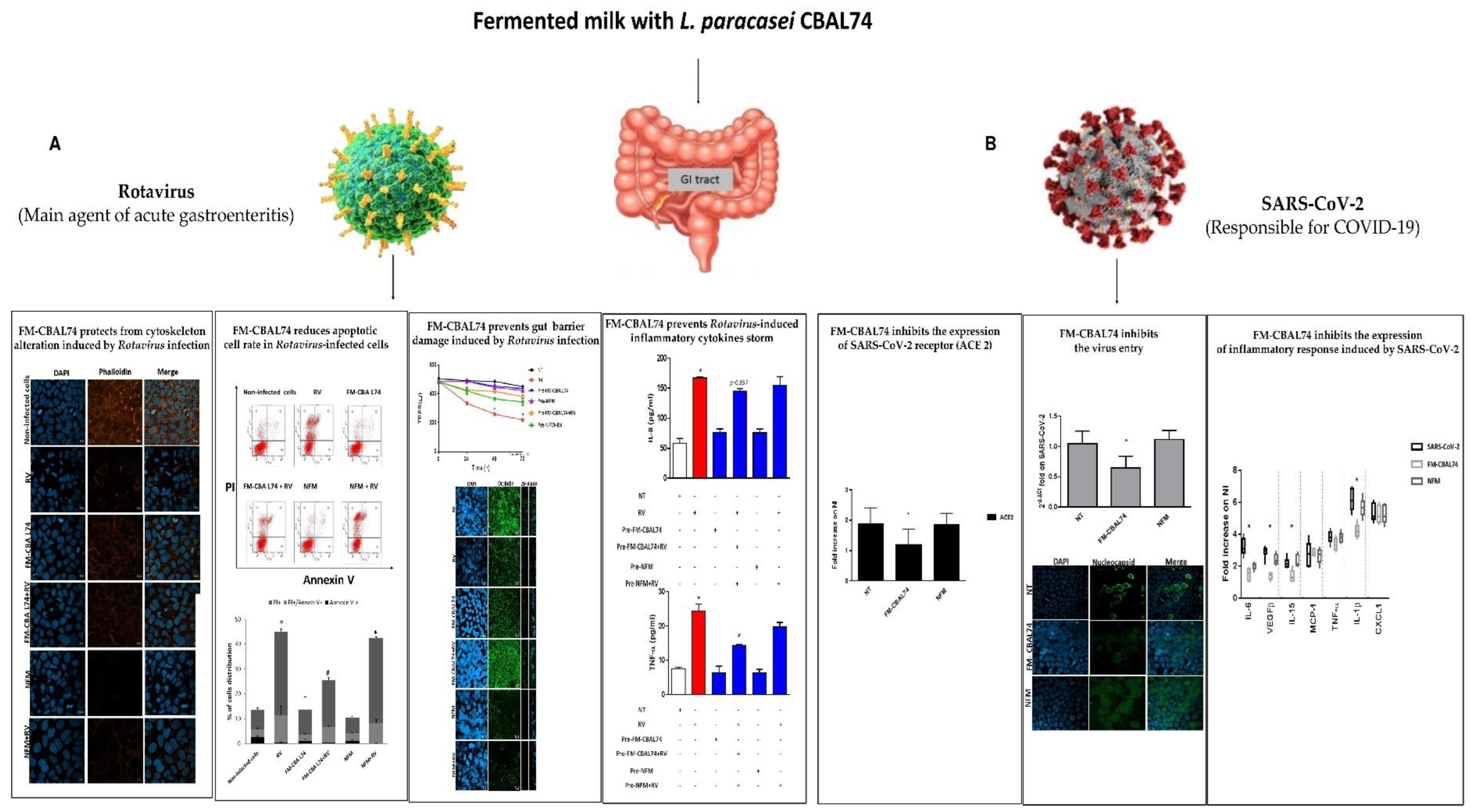 Microorganisms 11 00010 g005 Microorganisms 11 00010 g005