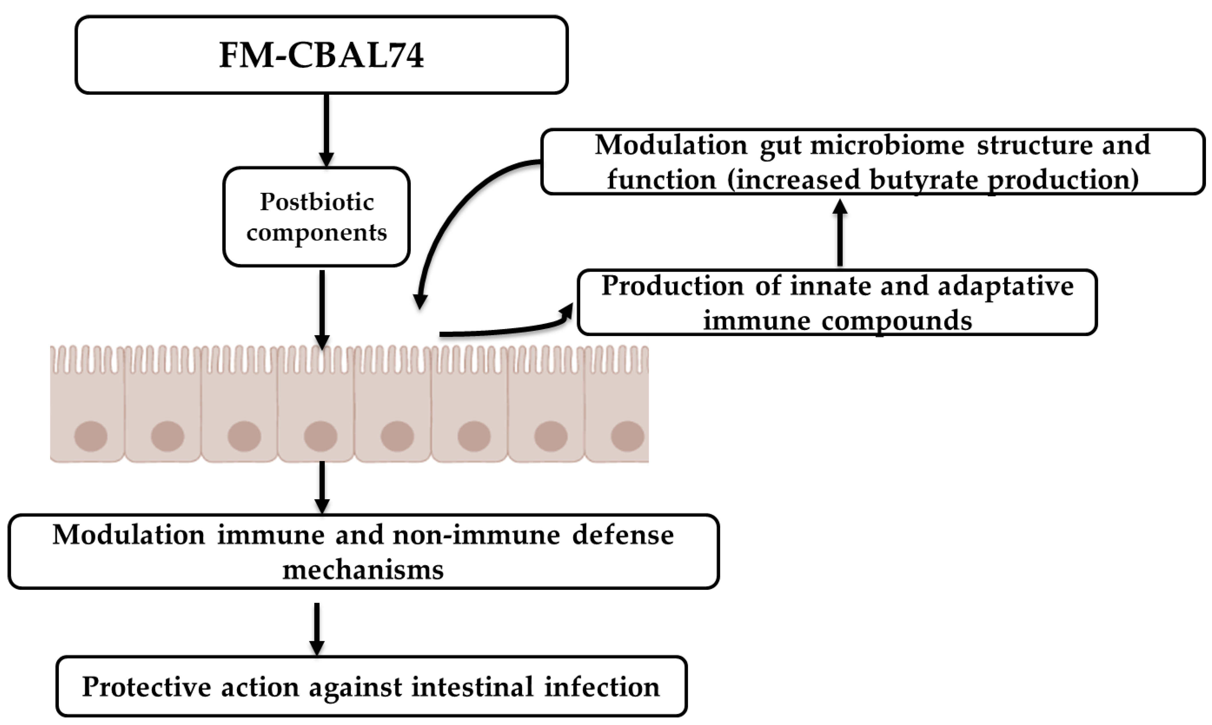 Microorganisms 11 00010 g007 Microorganisms 11 00010 g007
