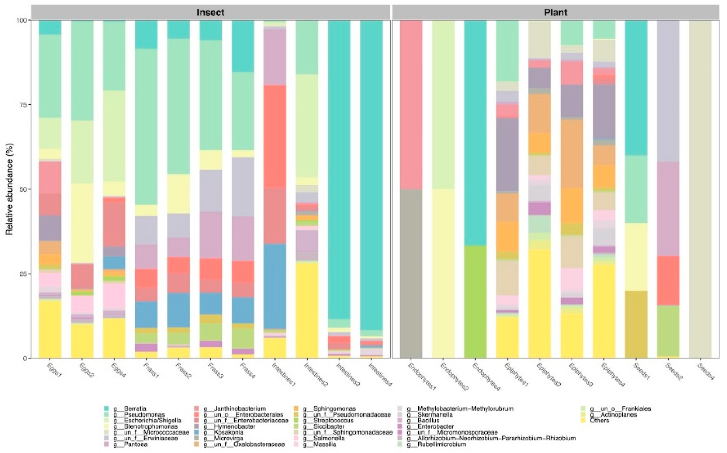 Microorganisms 11 00040 g002