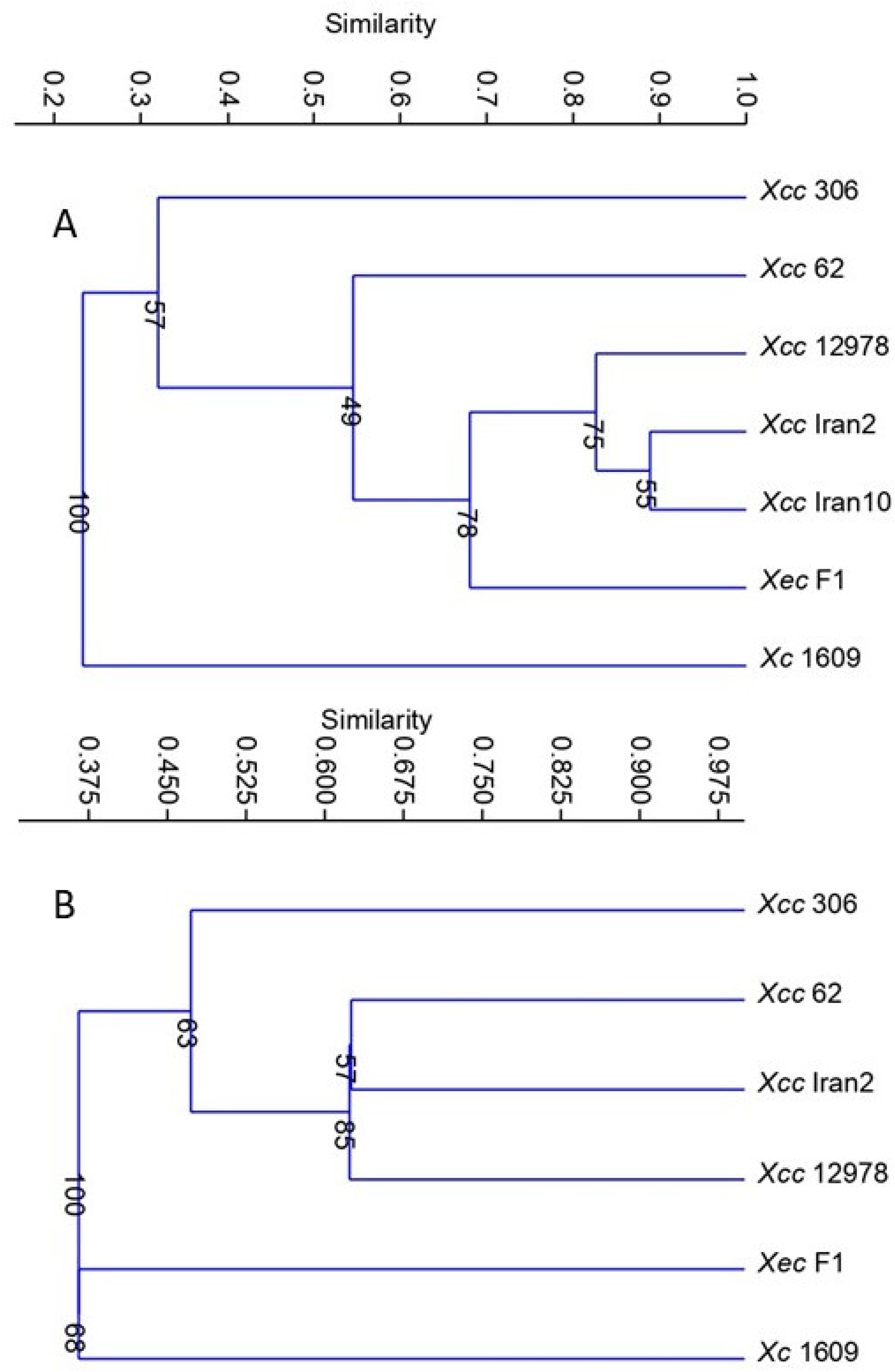 Microorganisms 11 00043 g001