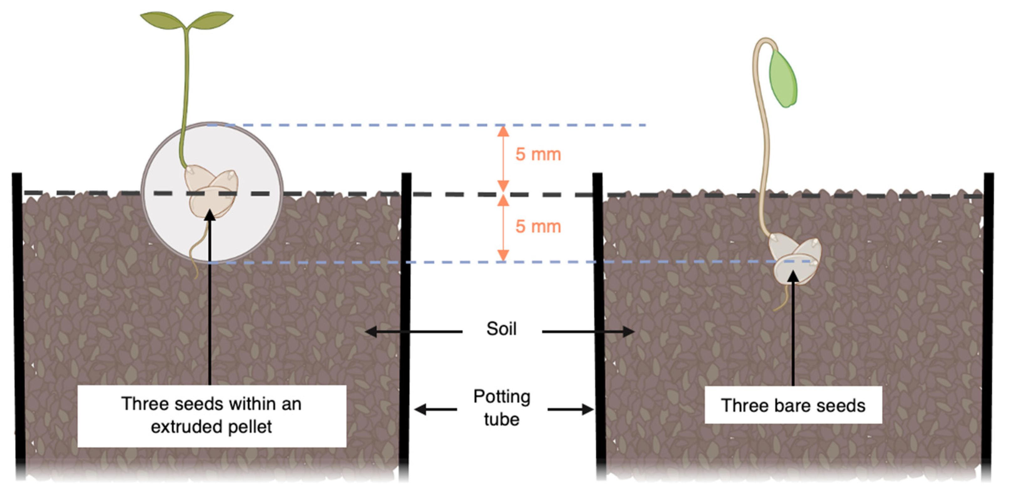 Perlite Pellet Soil Nutrient Substrate
