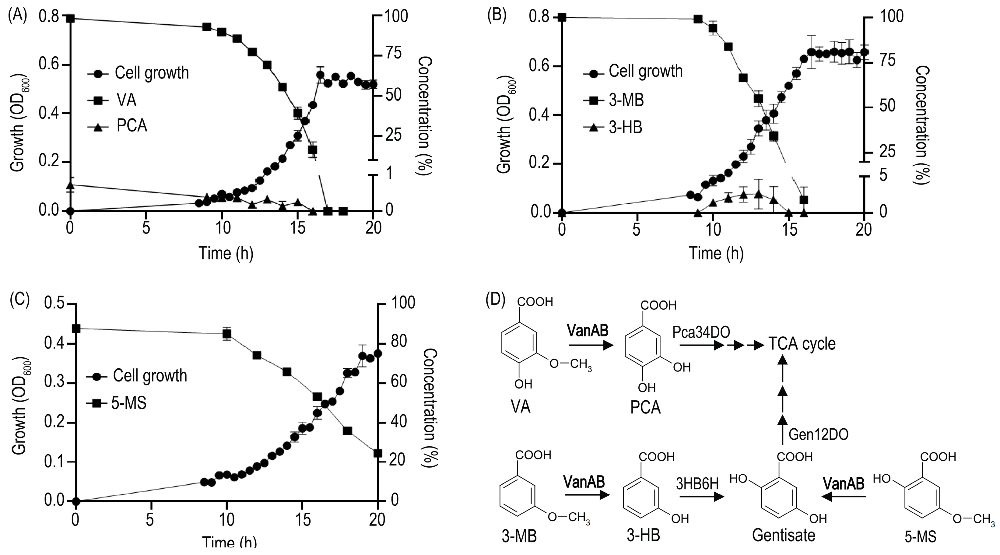 Microorganisms 11 00078 g001