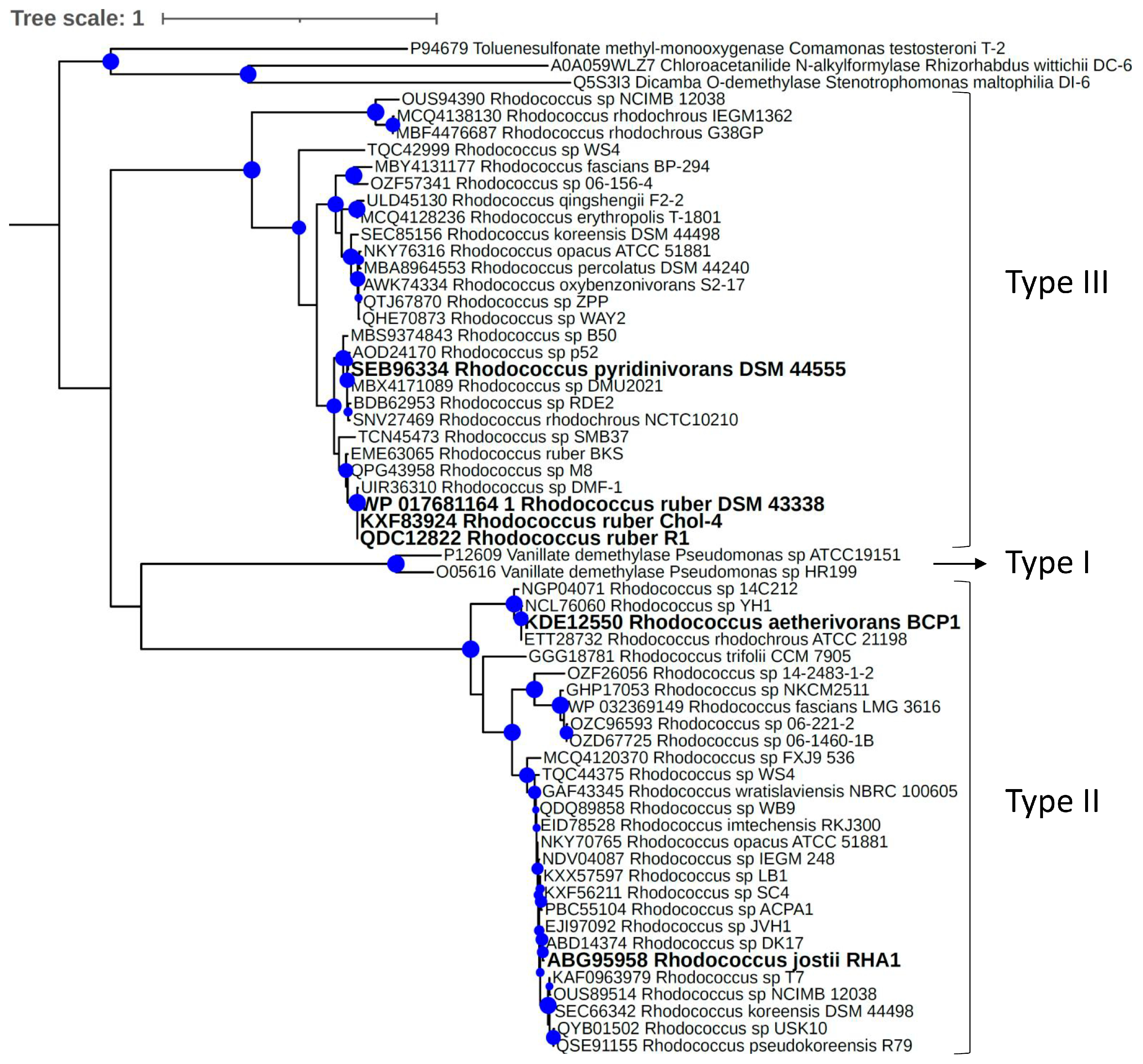 Microorganisms 11 00078 g006