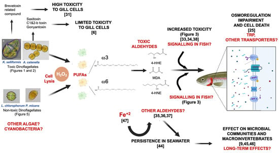 Microorganisms | Free Full-Text | Mitigation of Marine Dinoflagellates ...