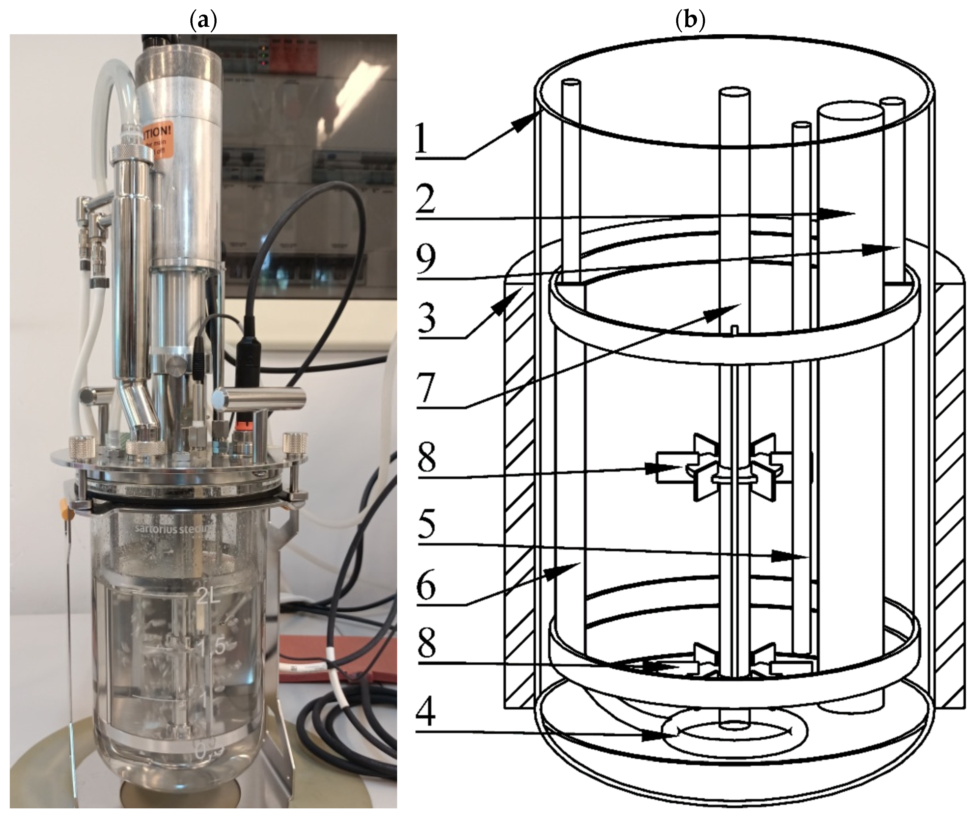 Microorganisms | Free Full-Text | The Influence of Hydrodynamic Conditions  in a Laboratory-Scale Bioreactor on Pseudomonas aeruginosa Metabolite  Production