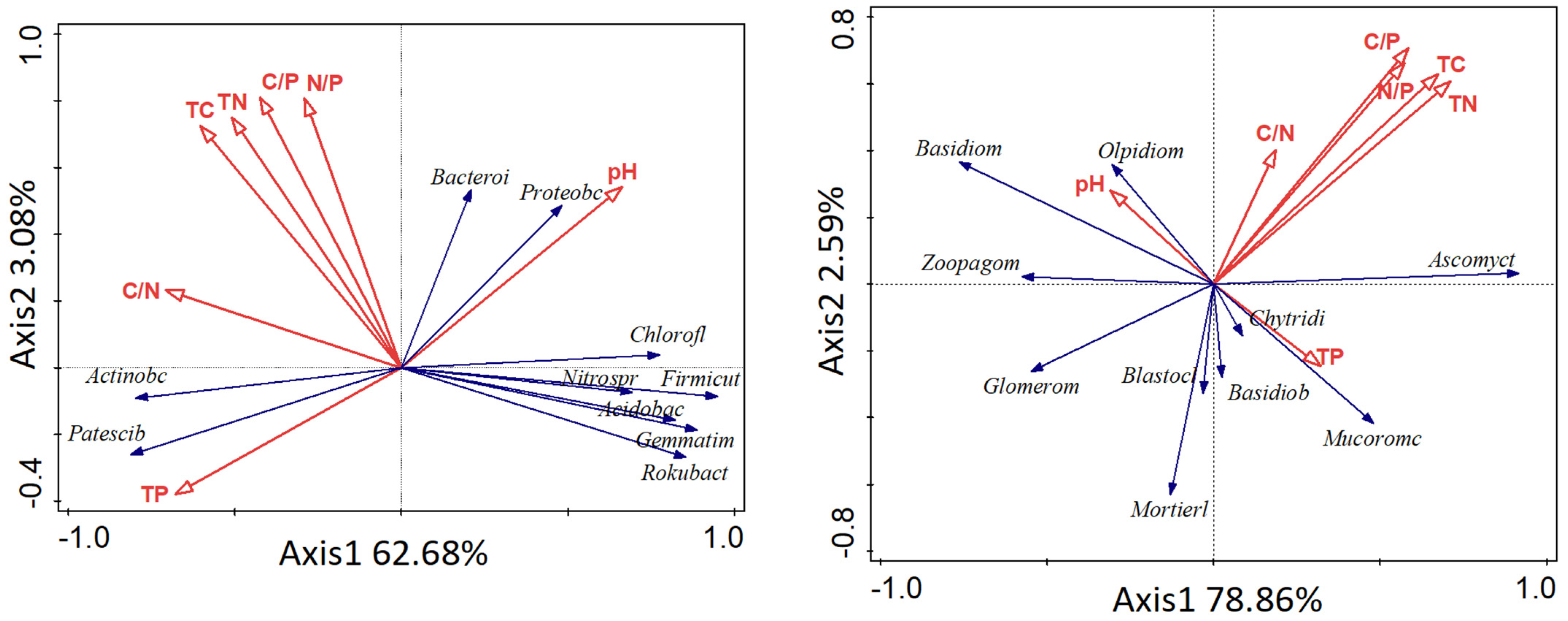 Microorganisms 11 00114 g006 Microorganisms 11 00114 g006