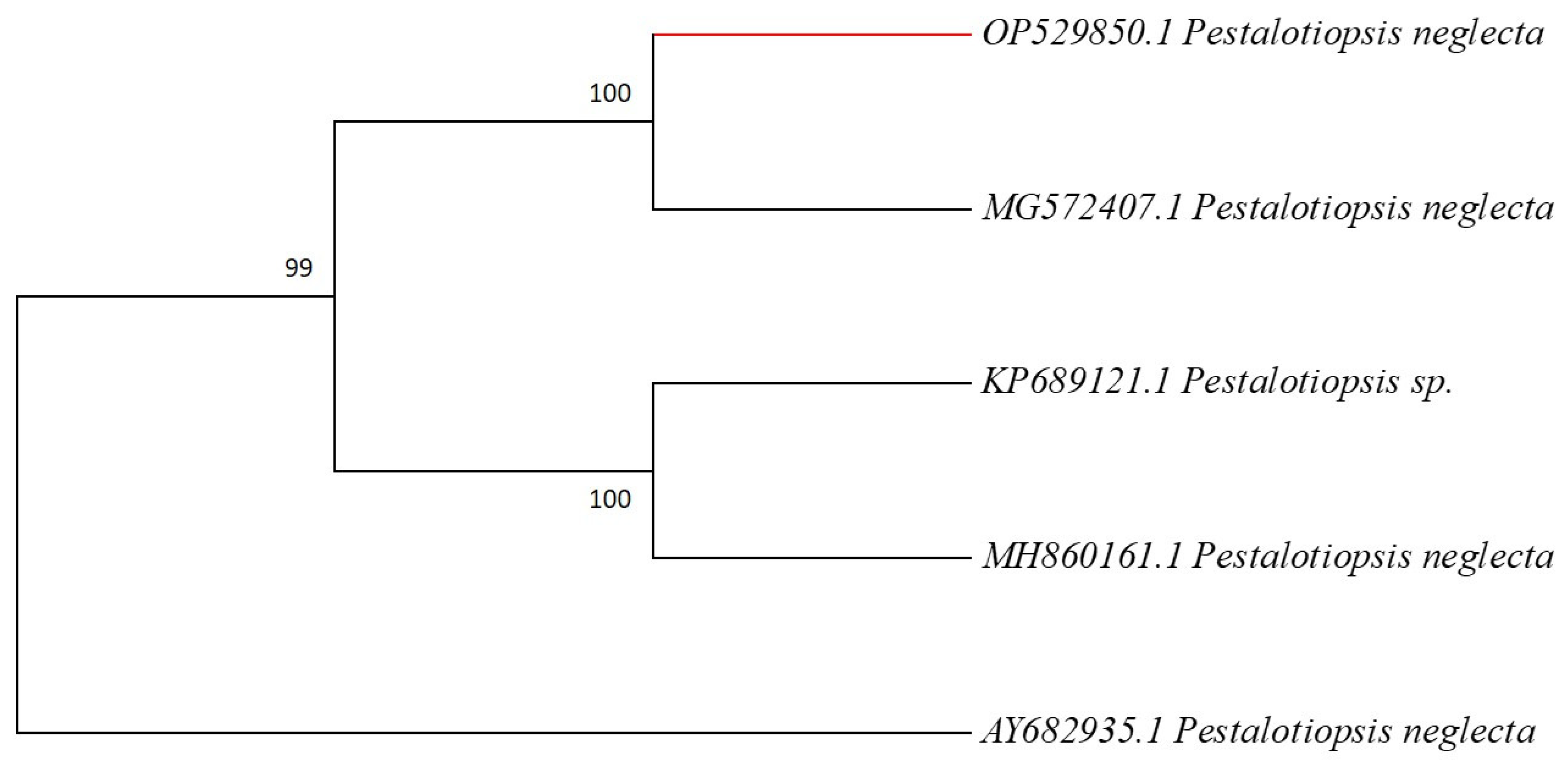 Microorganisms | Free Full-Text | Antioxidant, Cytotoxic, and DNA