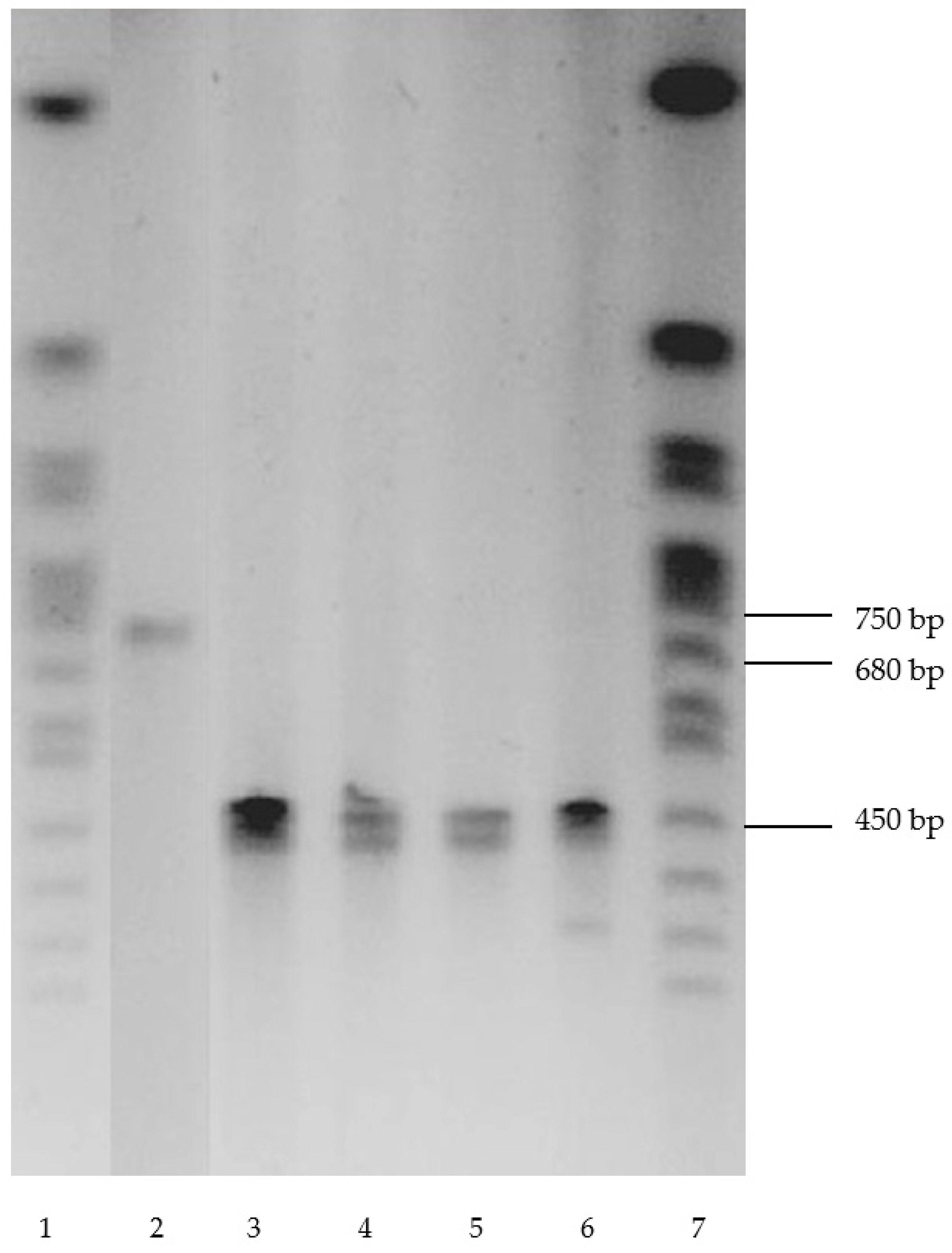 Microorganisms 11 00141 g002