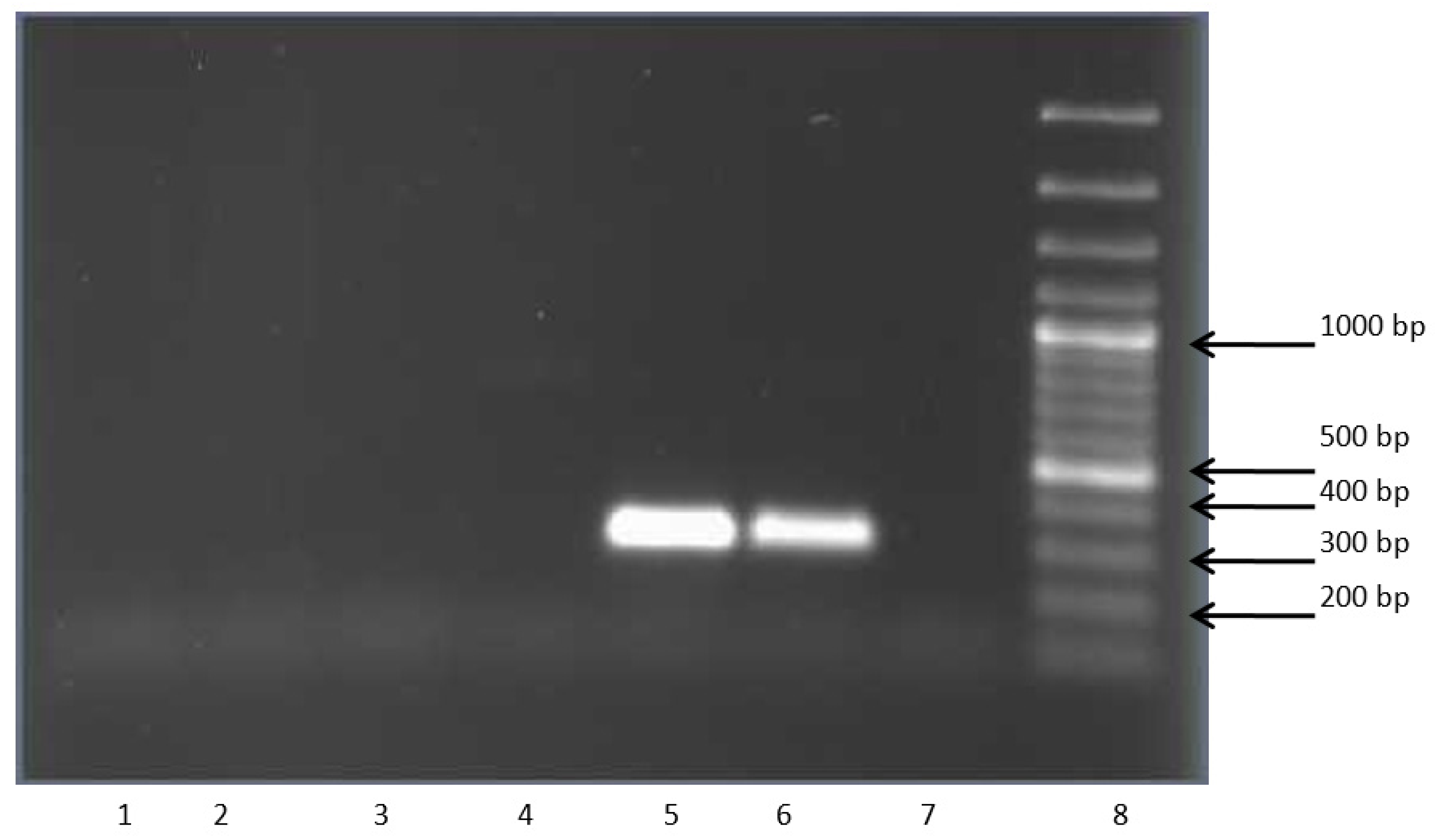 Microorganisms 11 00141 g003
