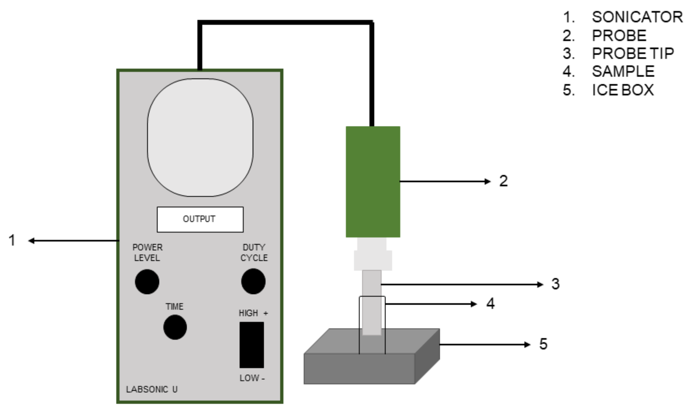 Microorganisms 11 00142 g001