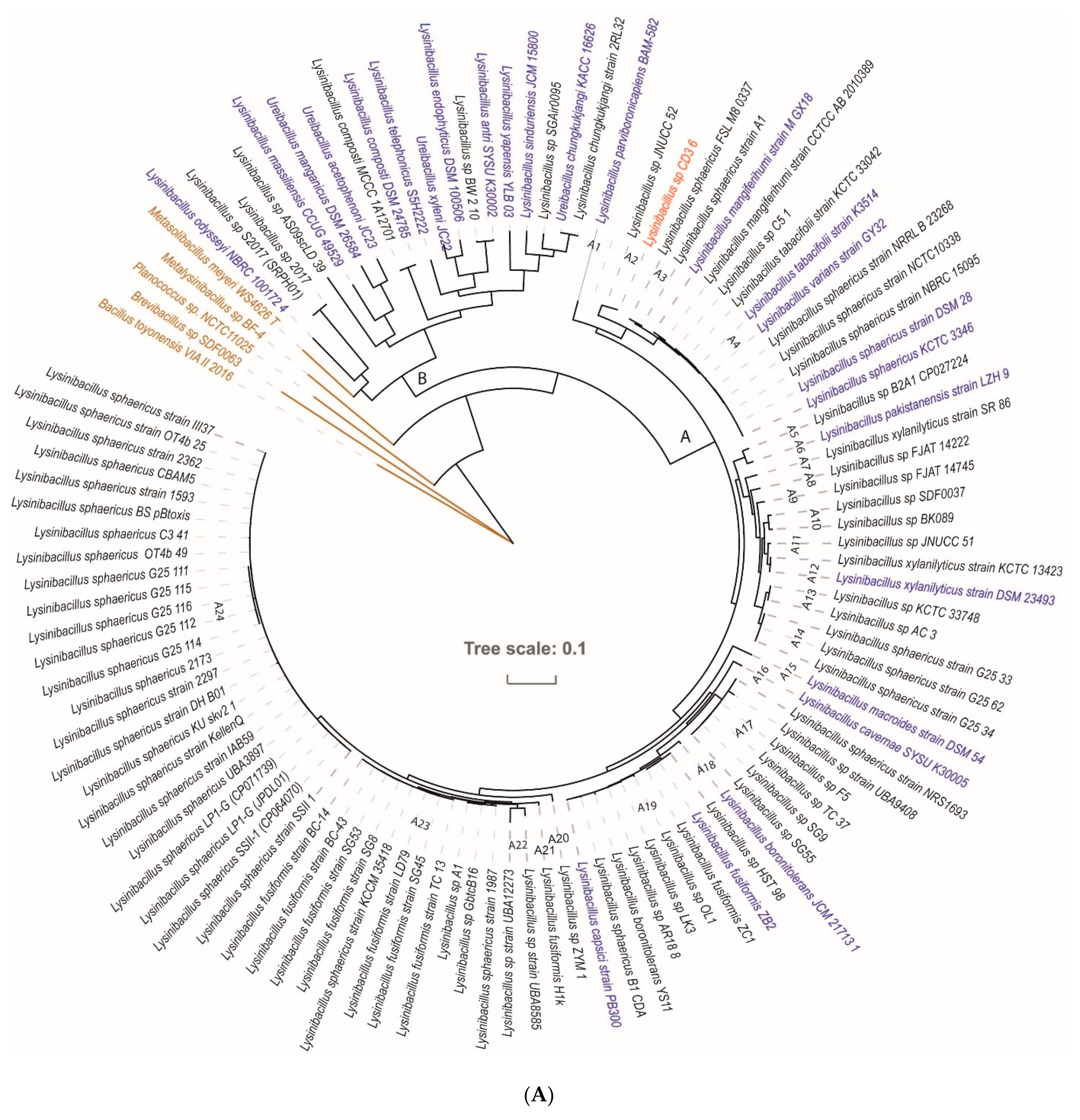 Microorganisms 11 00168 g003a