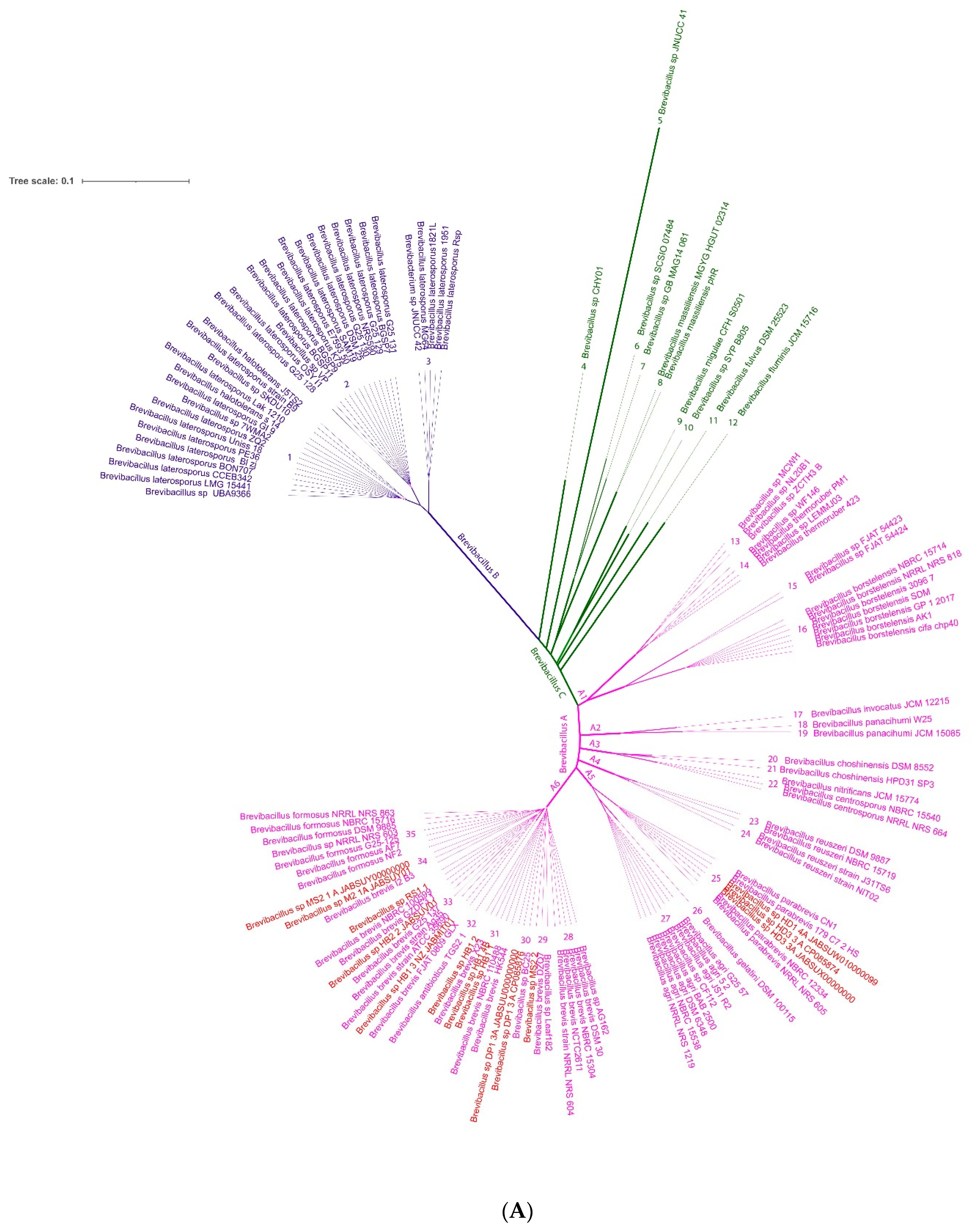 Microorganisms 11 00168 g004a