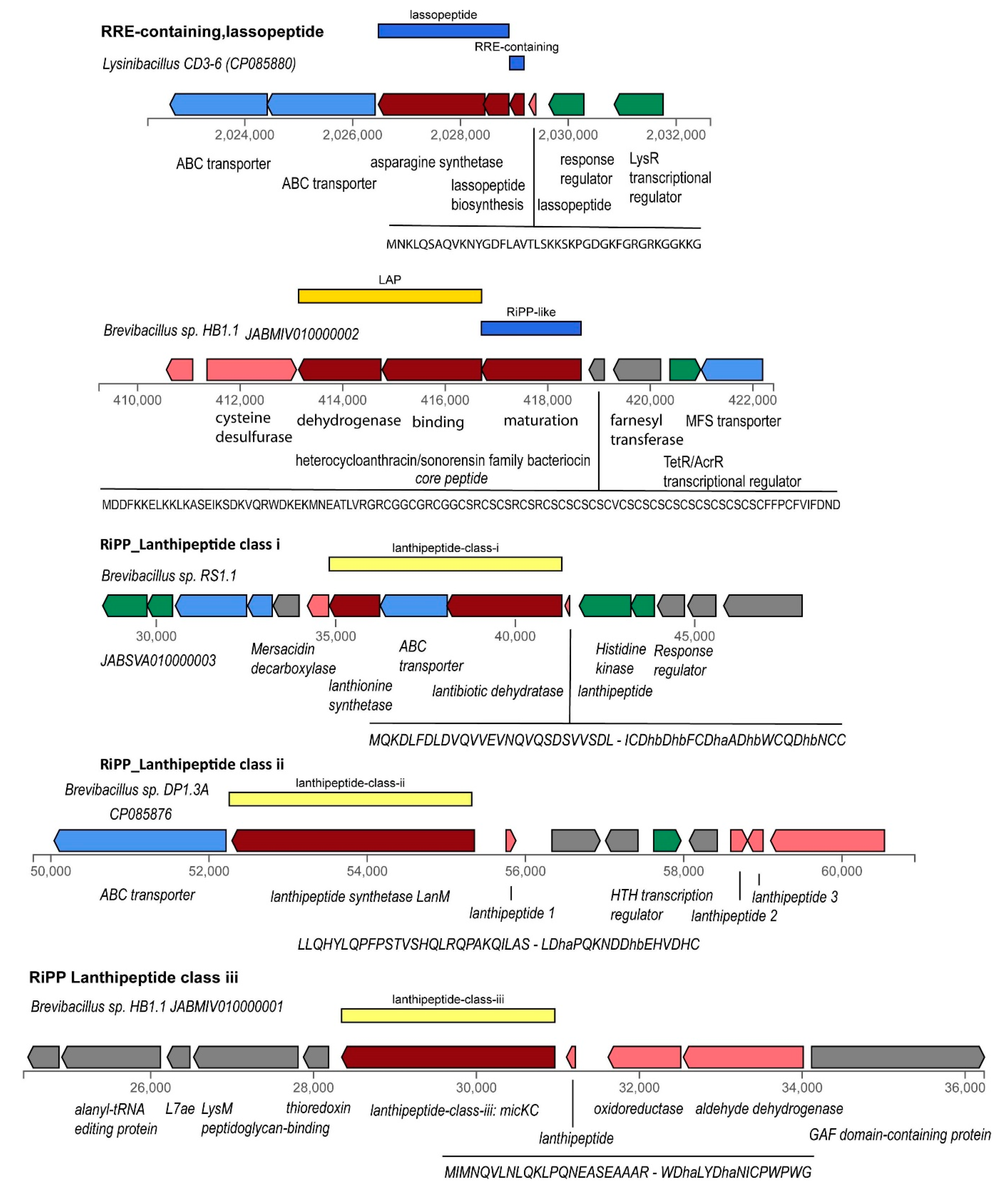 Microorganisms 11 00168 g009