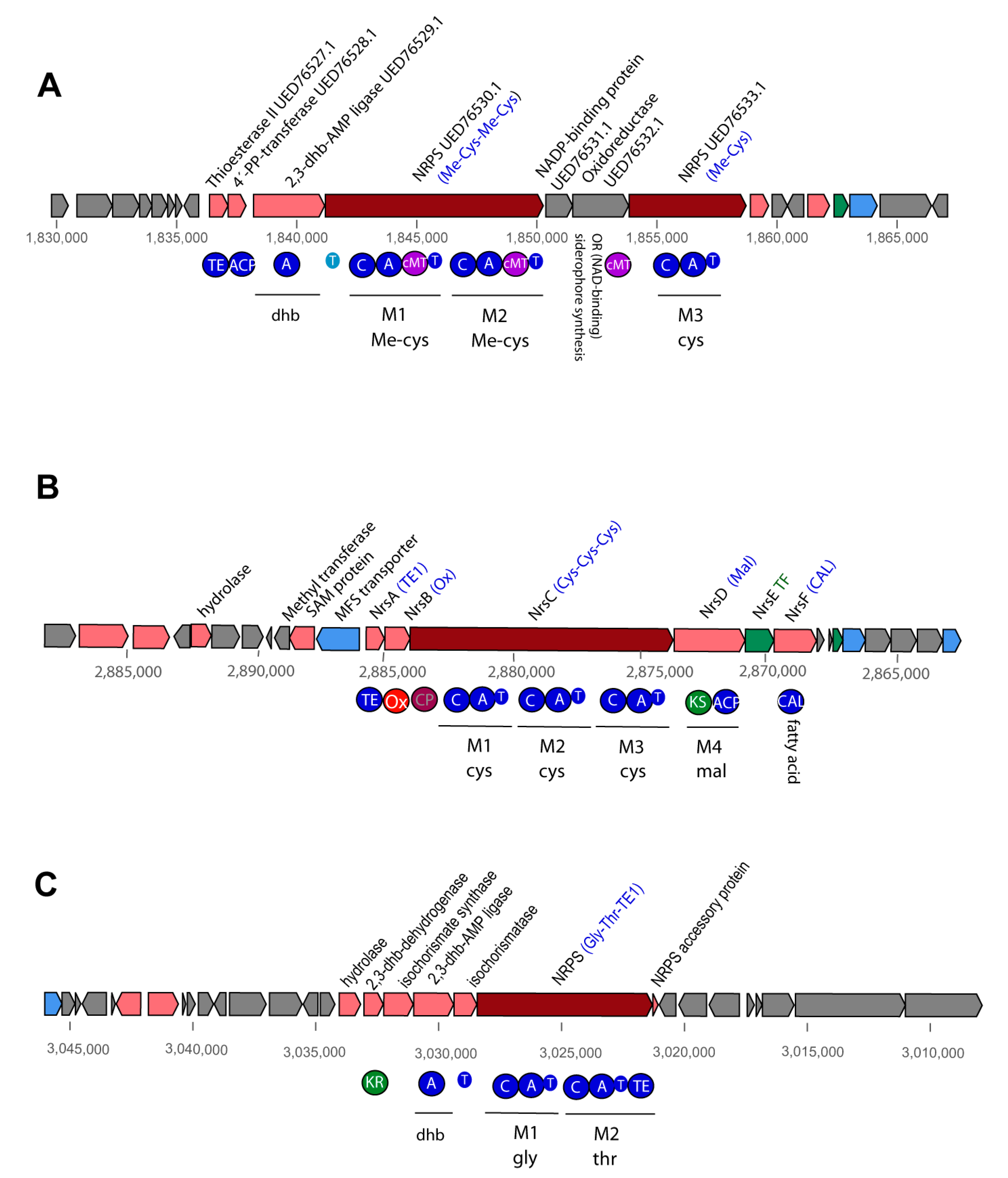 Microorganisms 11 00168 g010